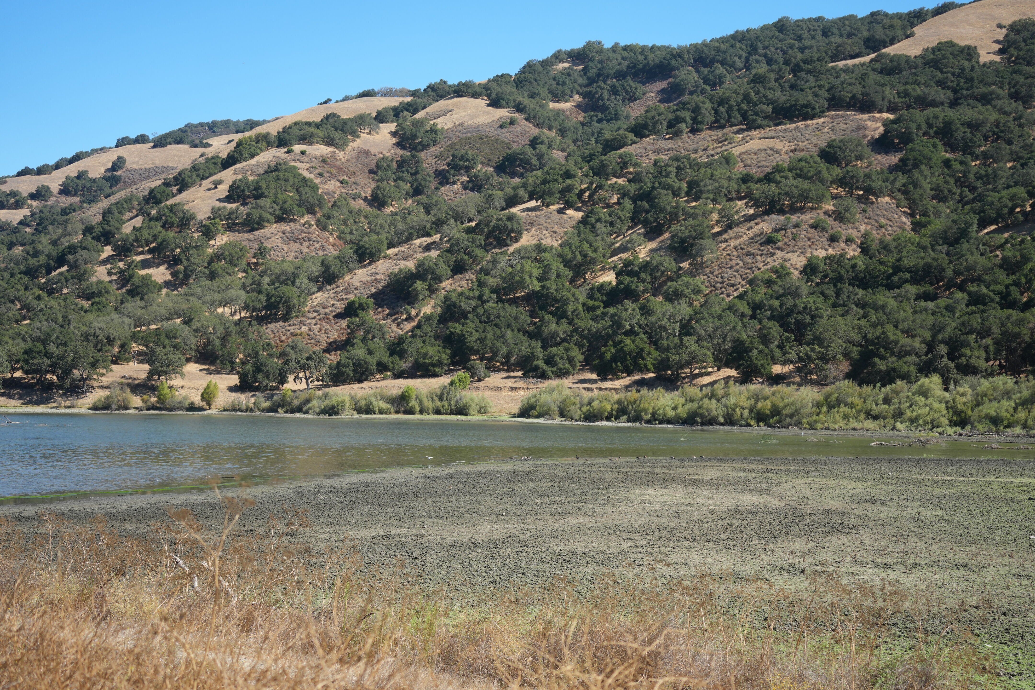 Coyote Lake Harvey Bear Ranch County Park