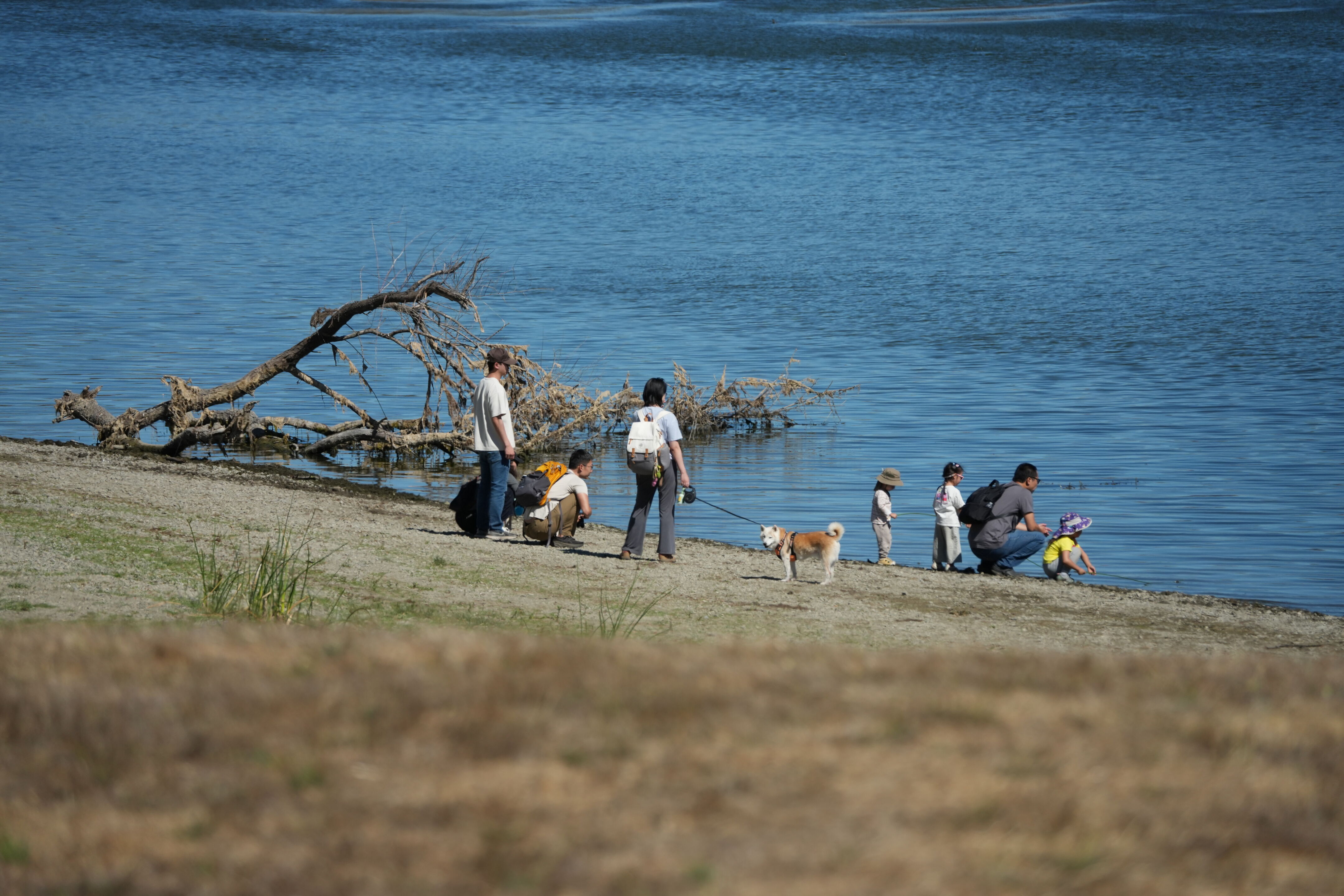 Coyote Lake Harvey Bear Ranch County Park