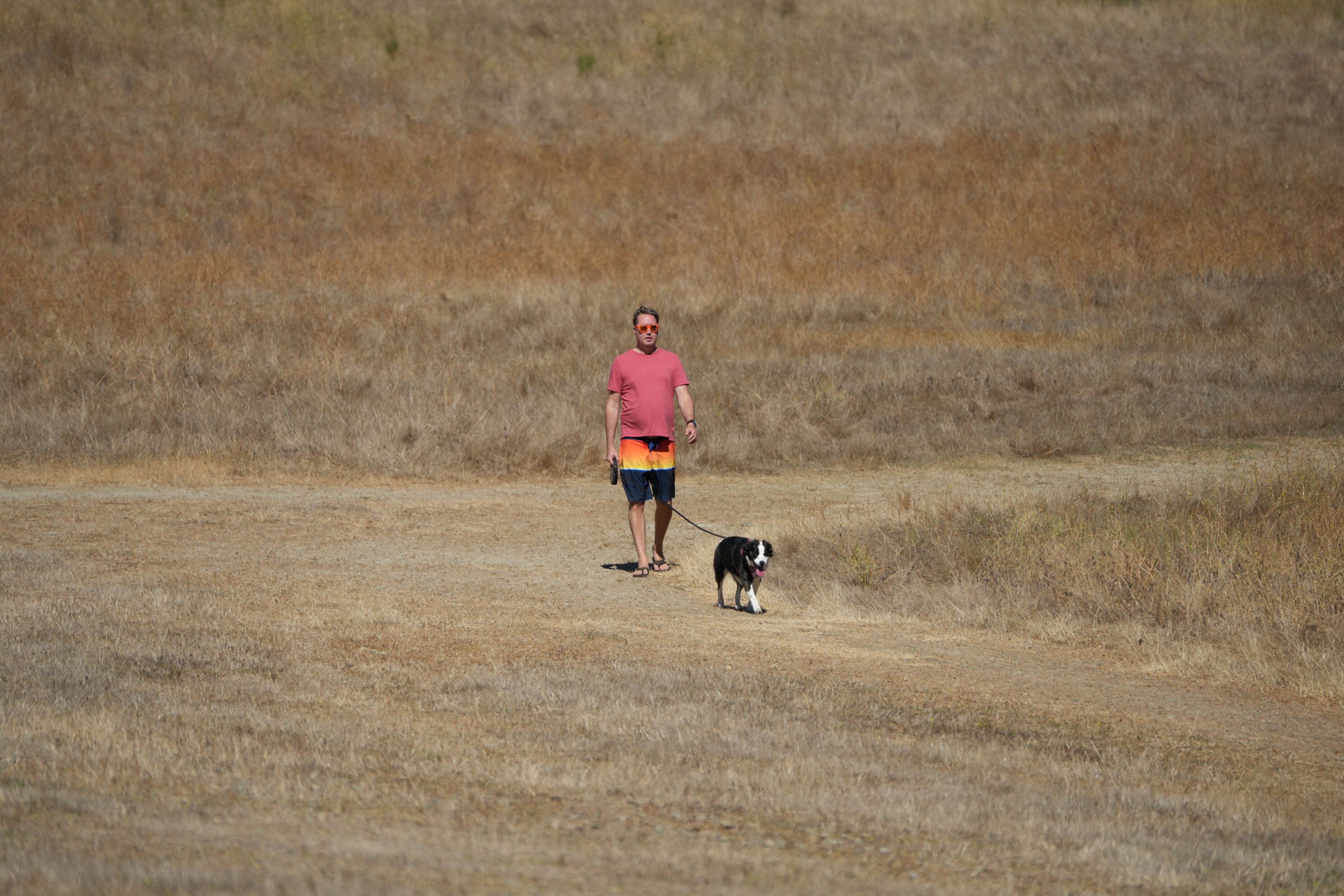 Coyote Lake Harvey Bear Ranch County Park