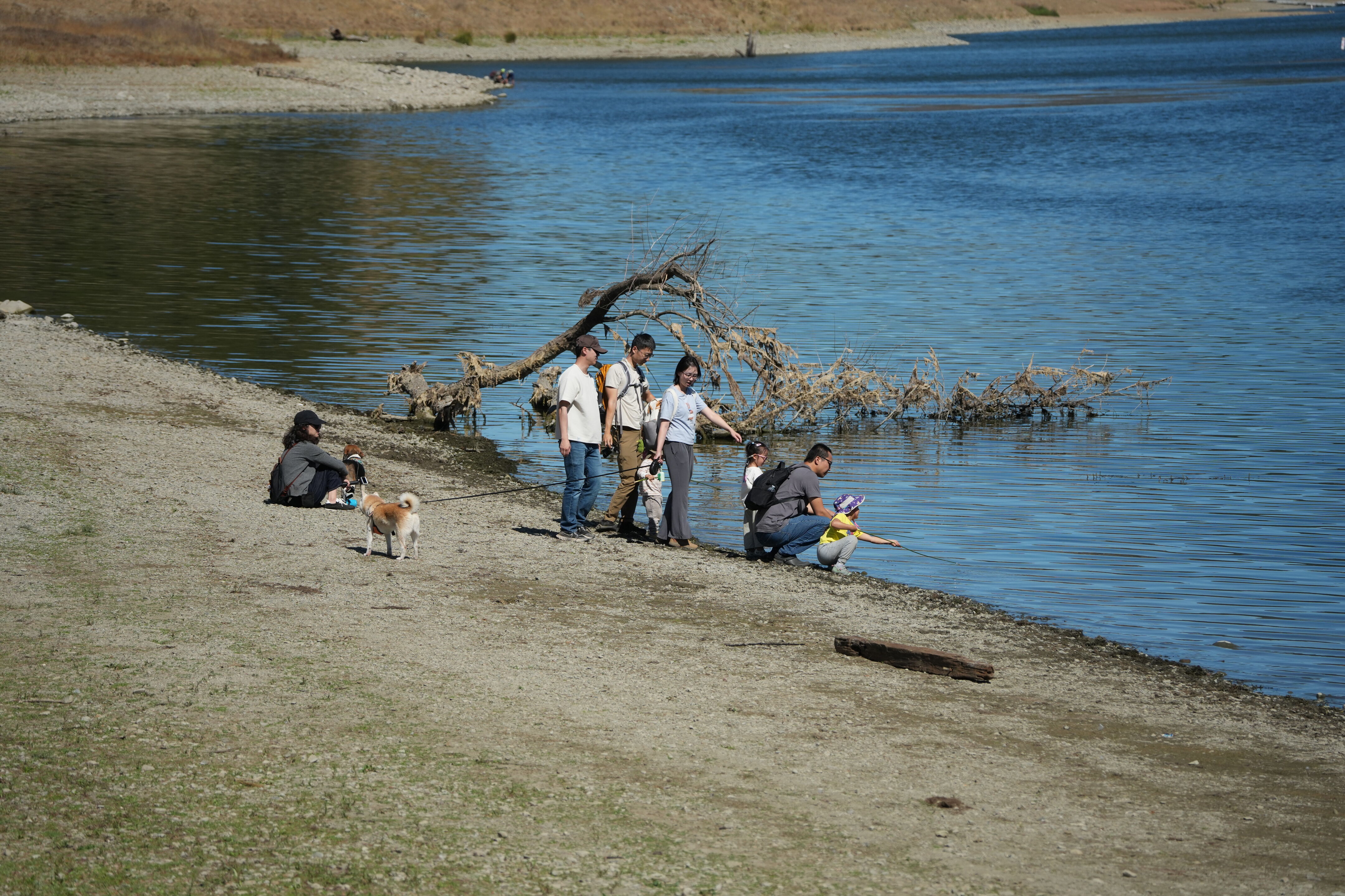 Coyote Lake Harvey Bear Ranch County Park