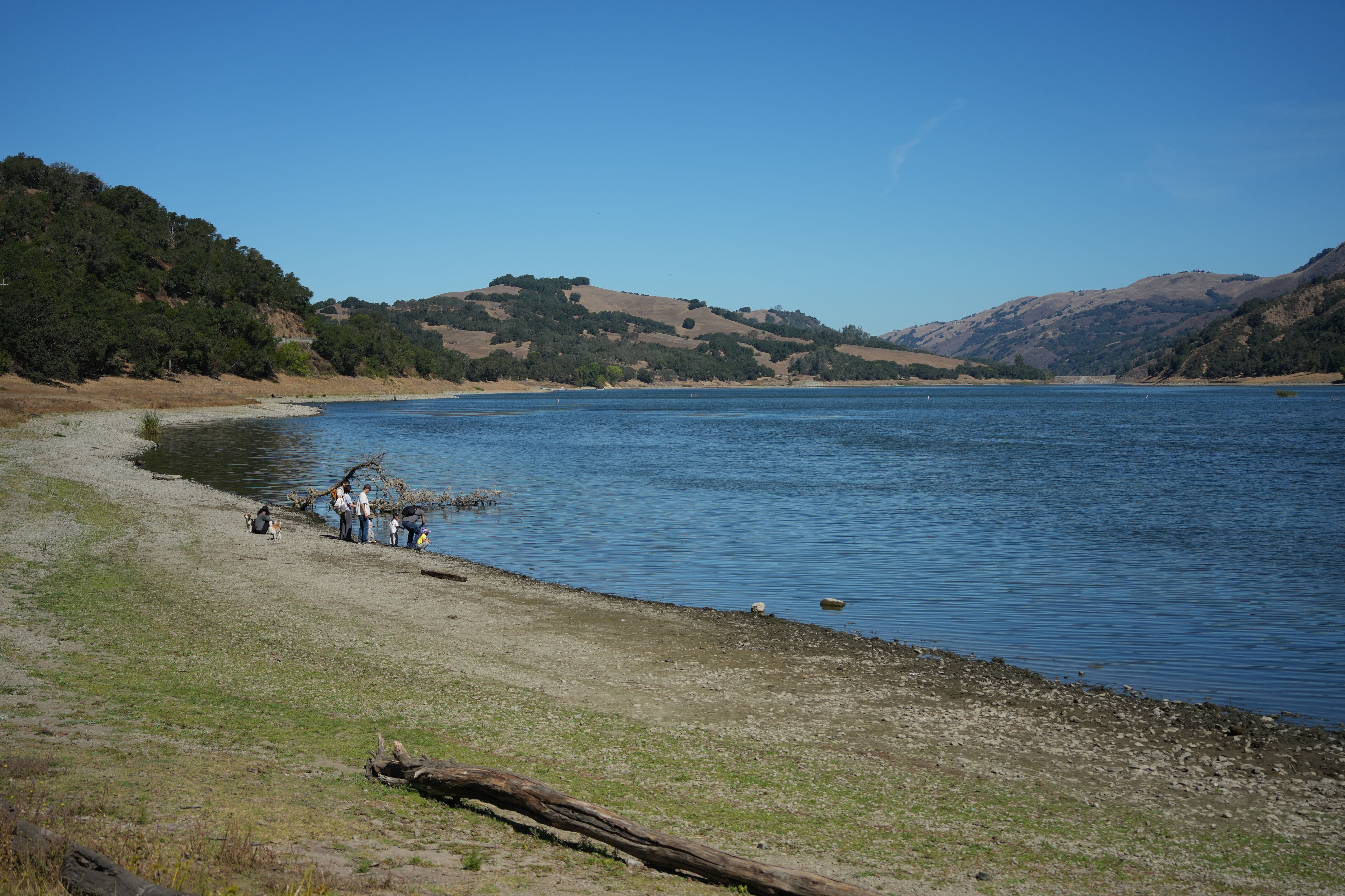 Coyote Lake Harvey Bear Ranch County Park