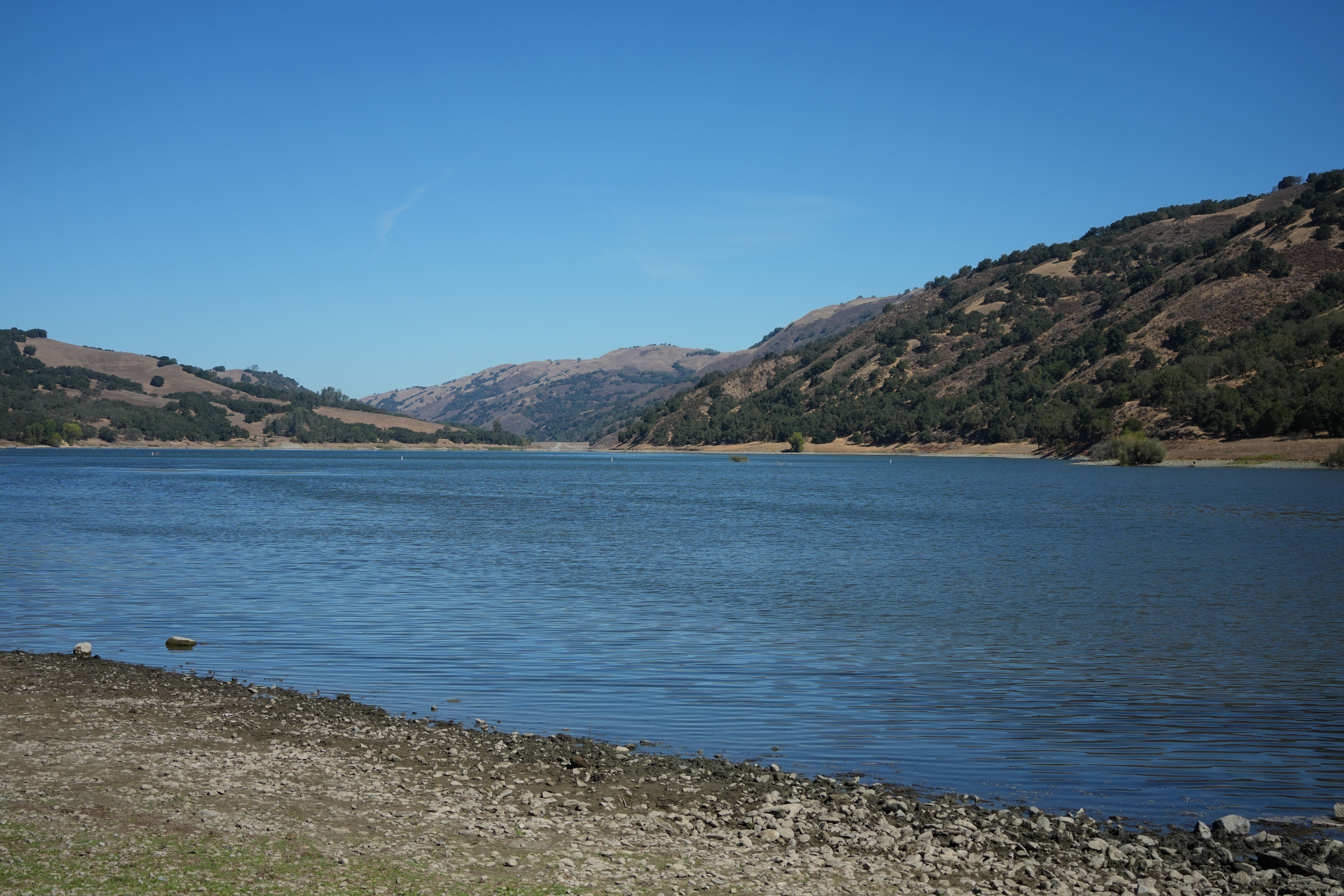 Coyote Lake Harvey Bear Ranch County Park