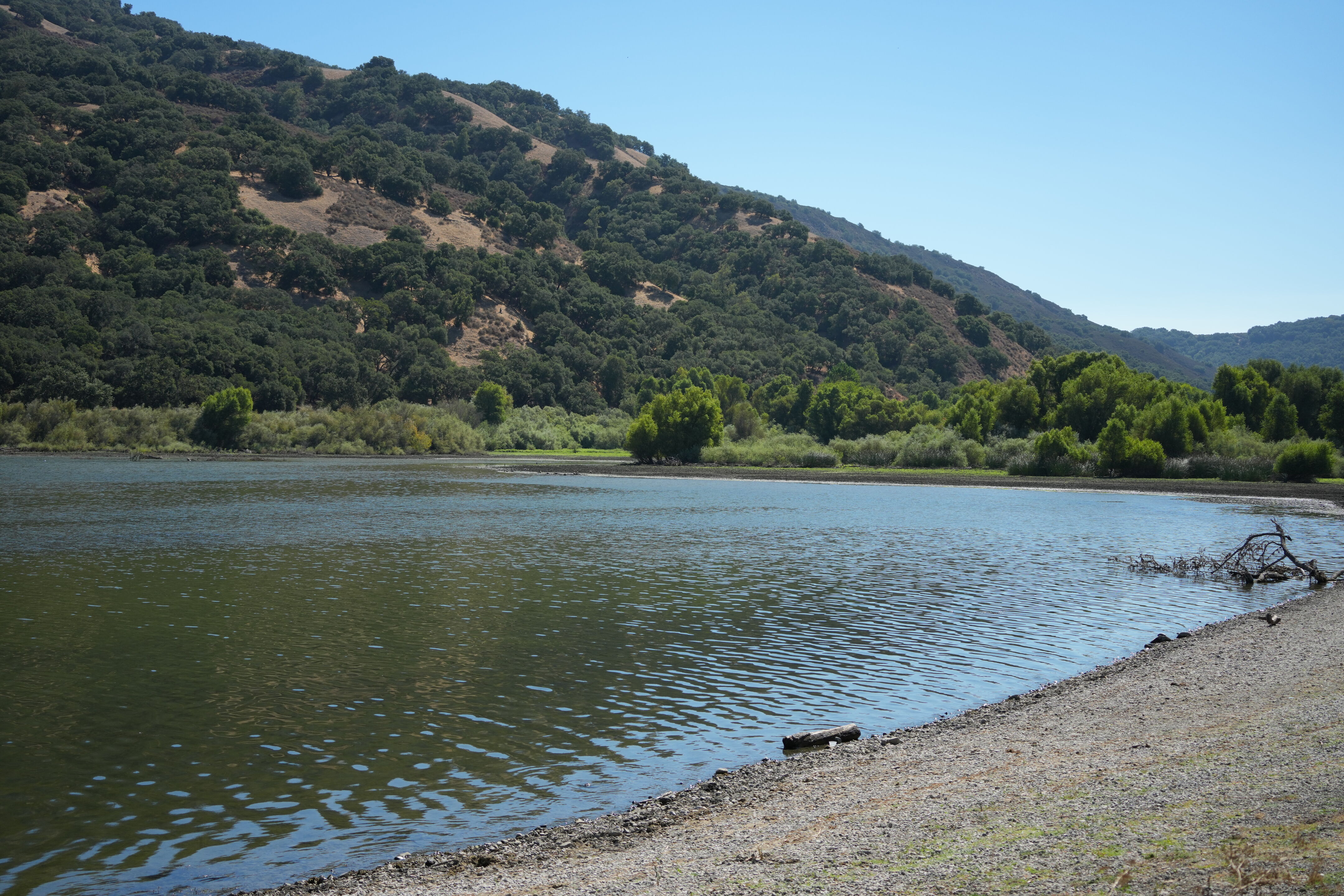 Coyote Lake Harvey Bear Ranch County Park