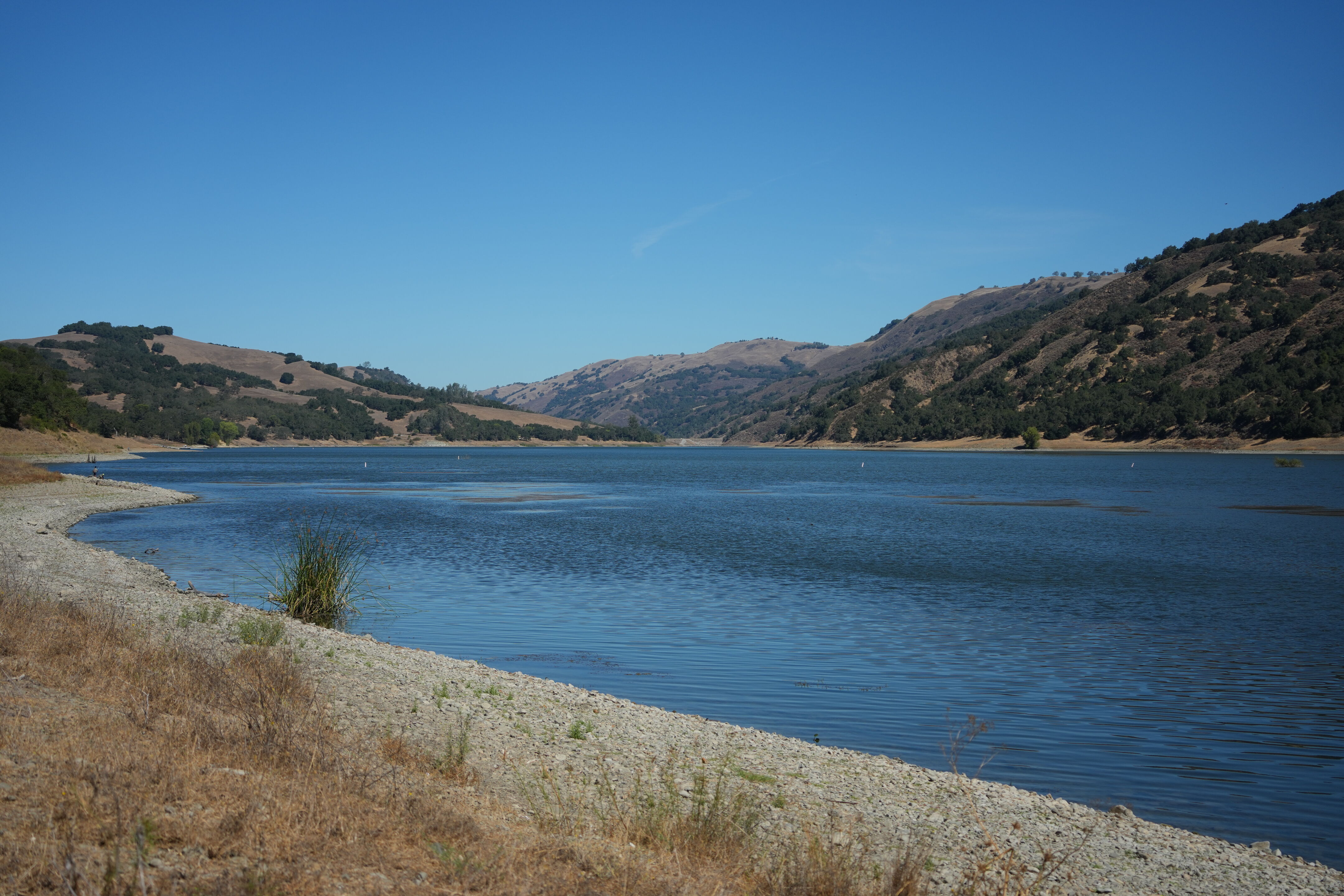 Coyote Lake Harvey Bear Ranch County Park