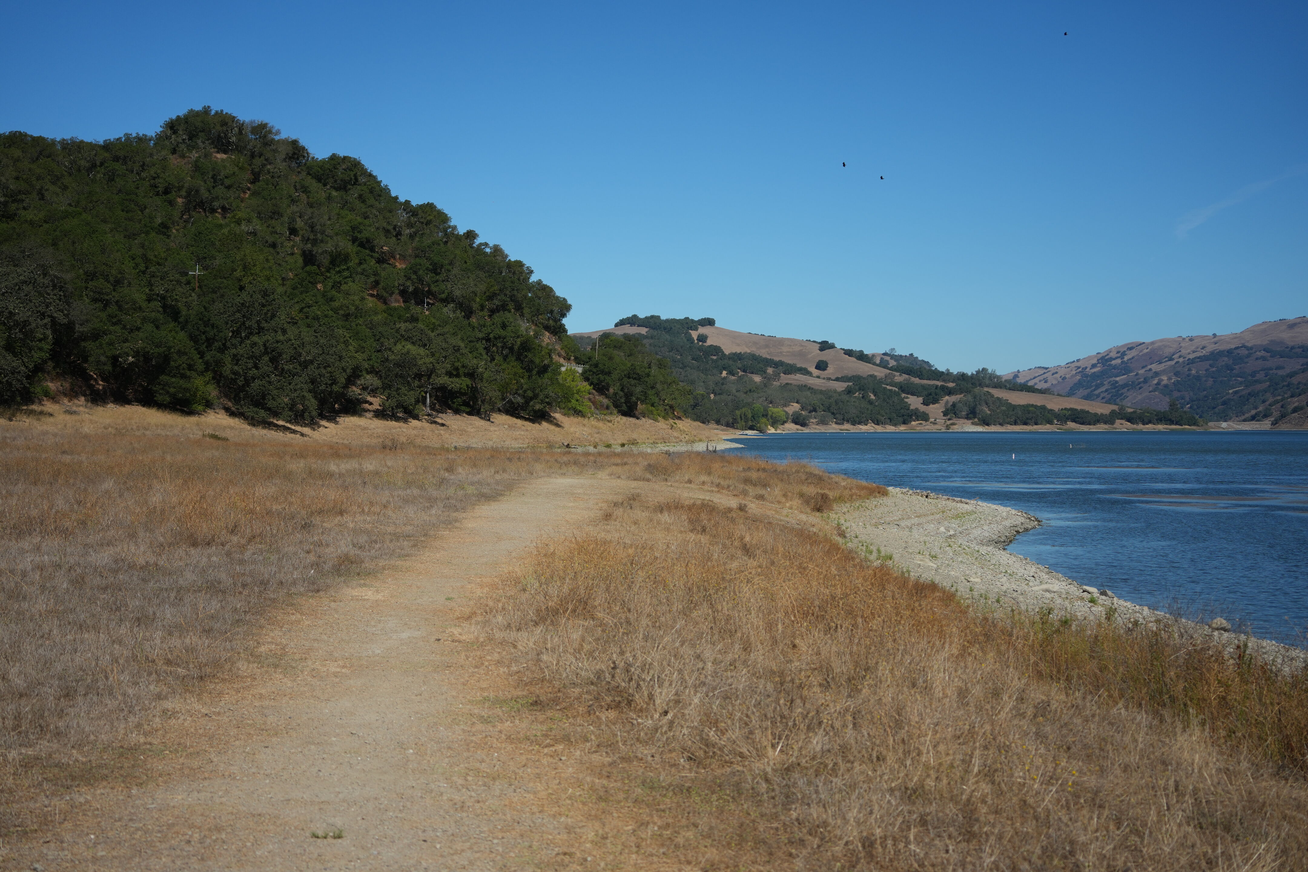 Coyote Lake Harvey Bear Ranch County Park