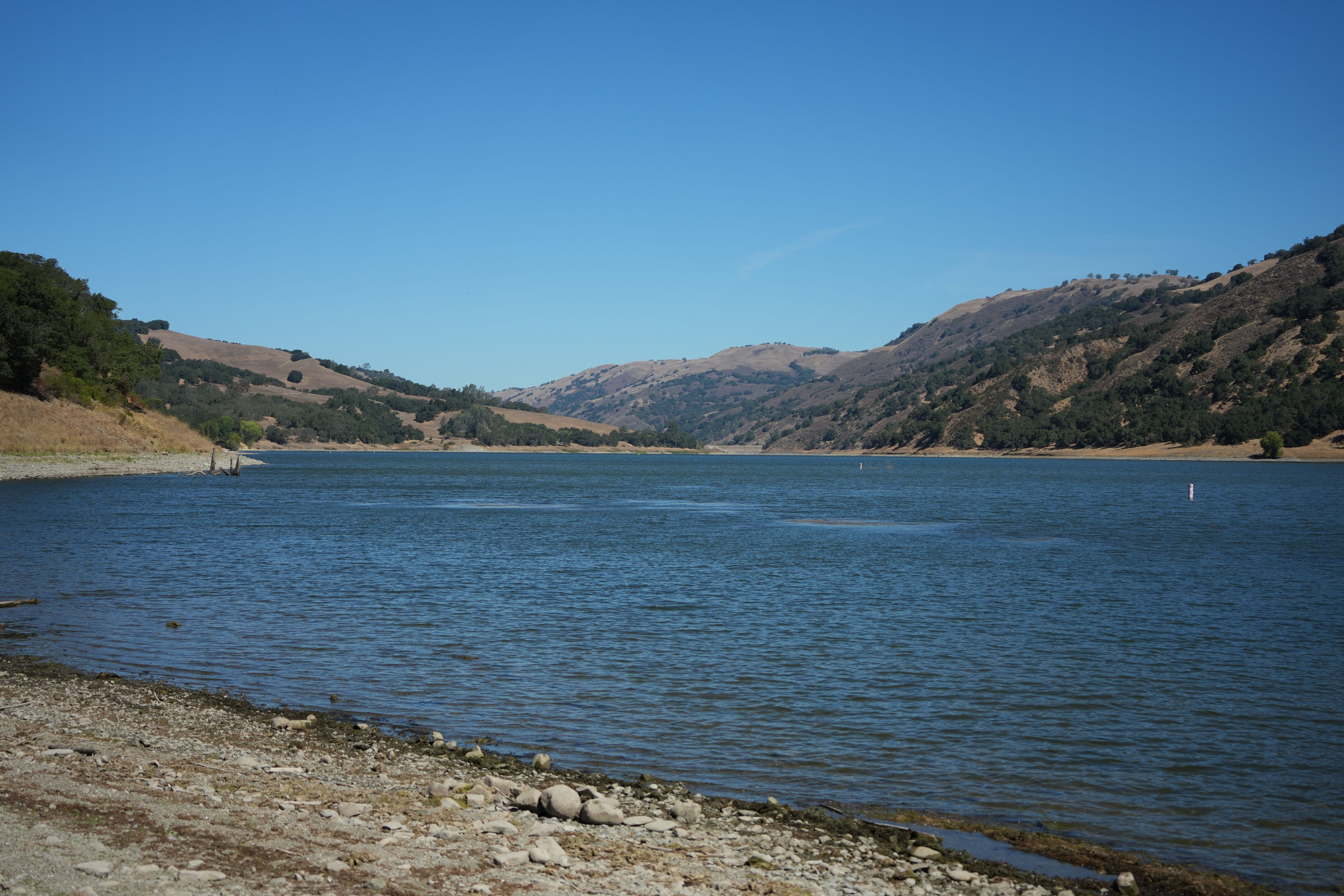 Coyote Lake Harvey Bear Ranch County Park