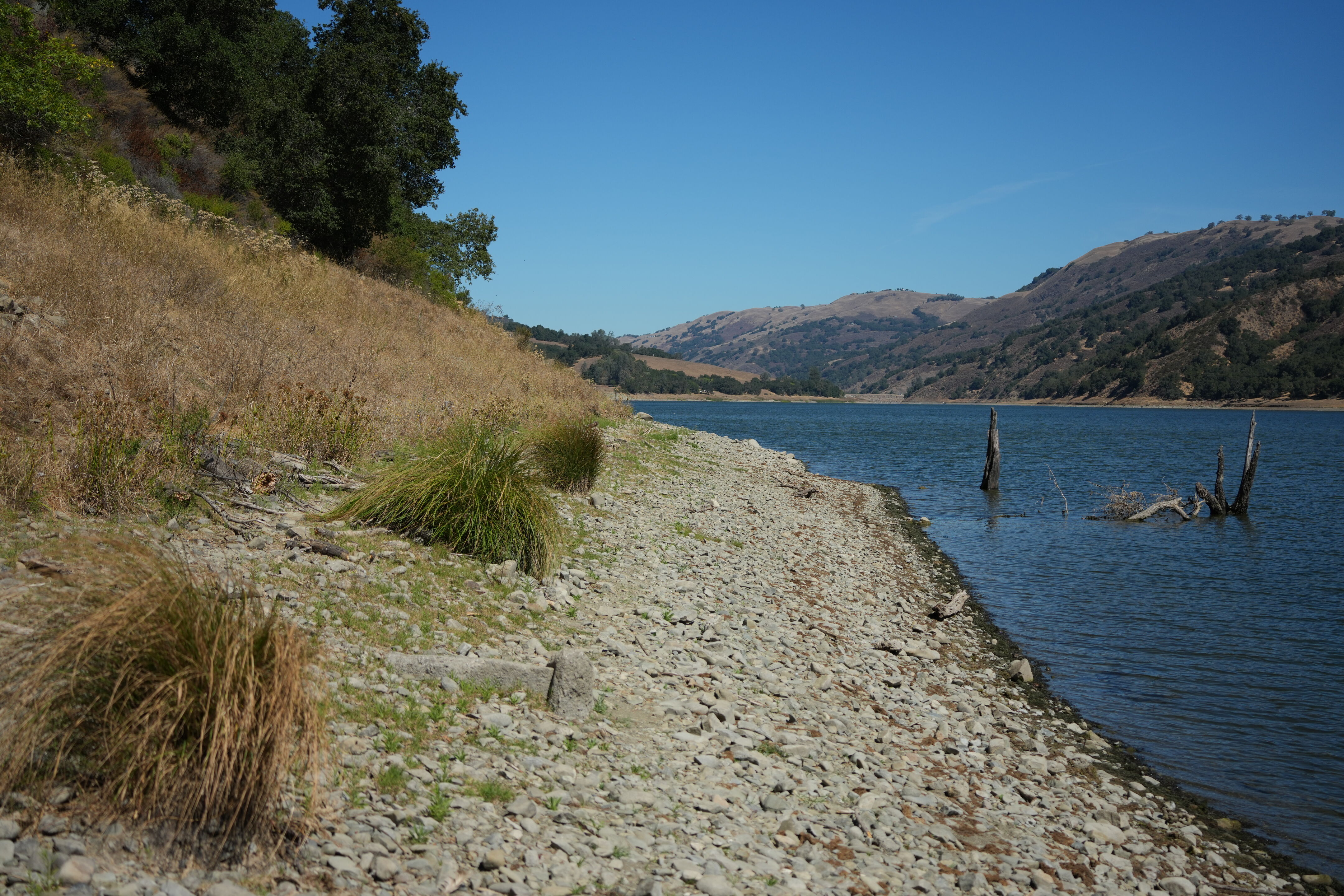 Coyote Lake Harvey Bear Ranch County Park