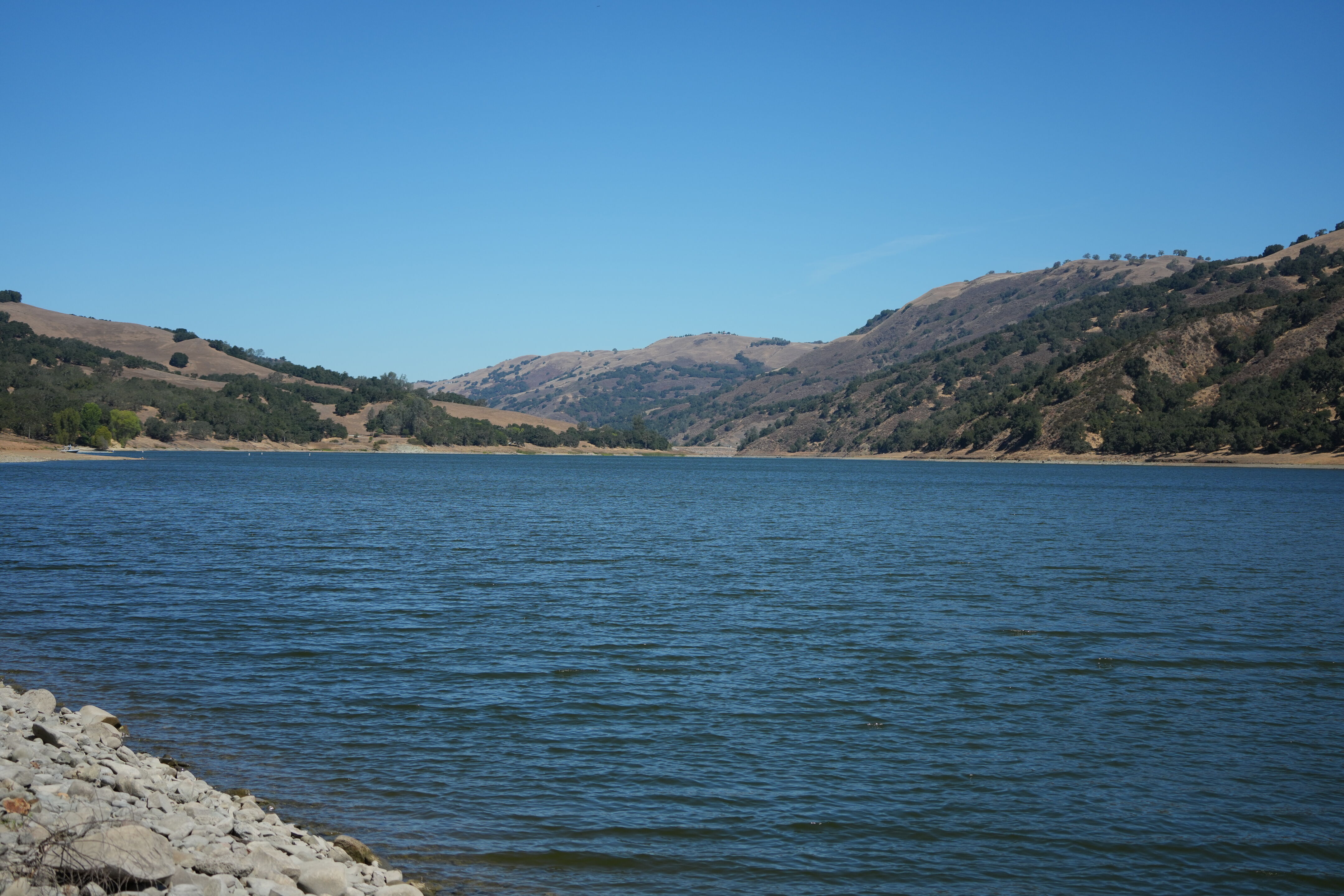 Coyote Lake Harvey Bear Ranch County Park