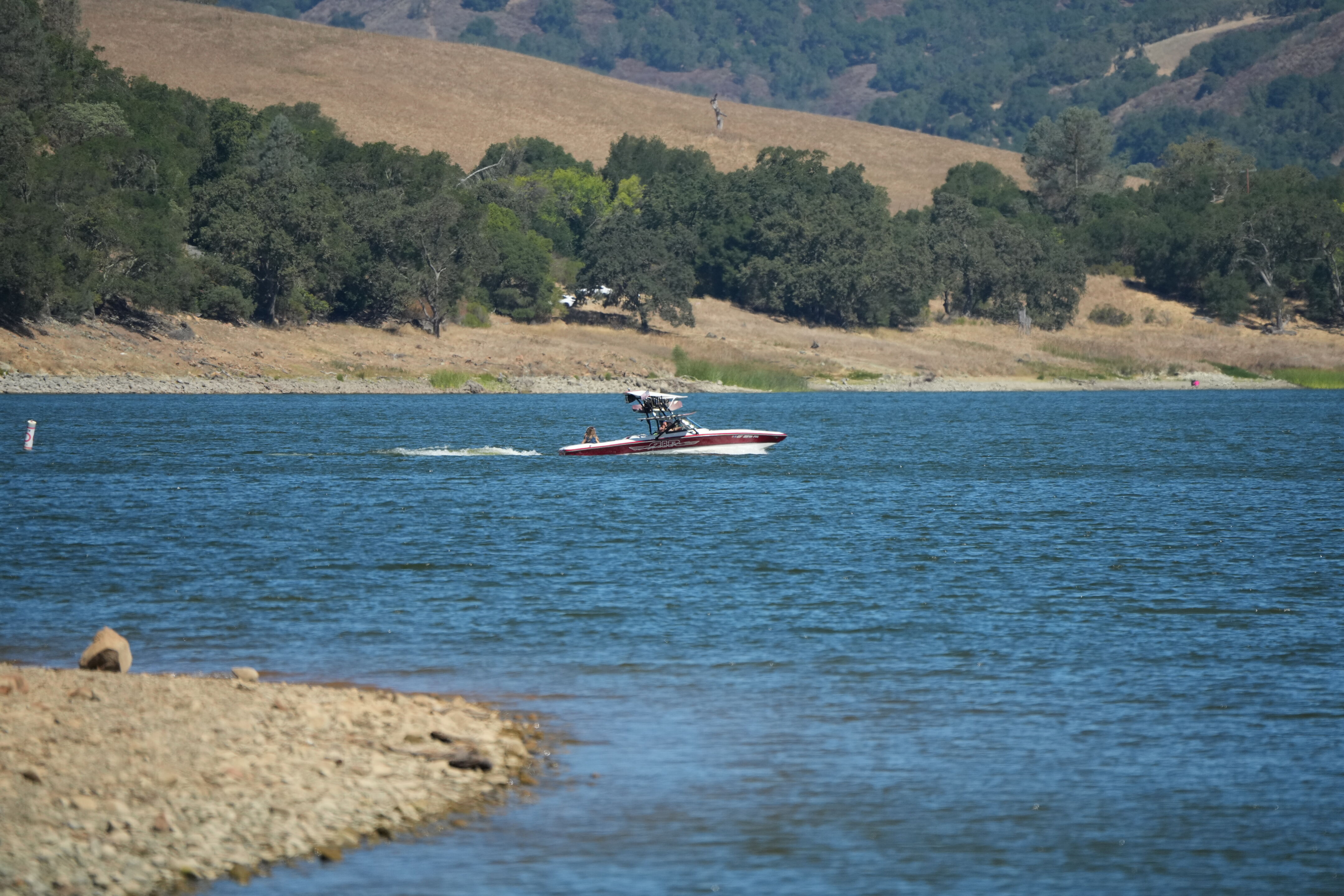 Coyote Lake Harvey Bear Ranch County Park