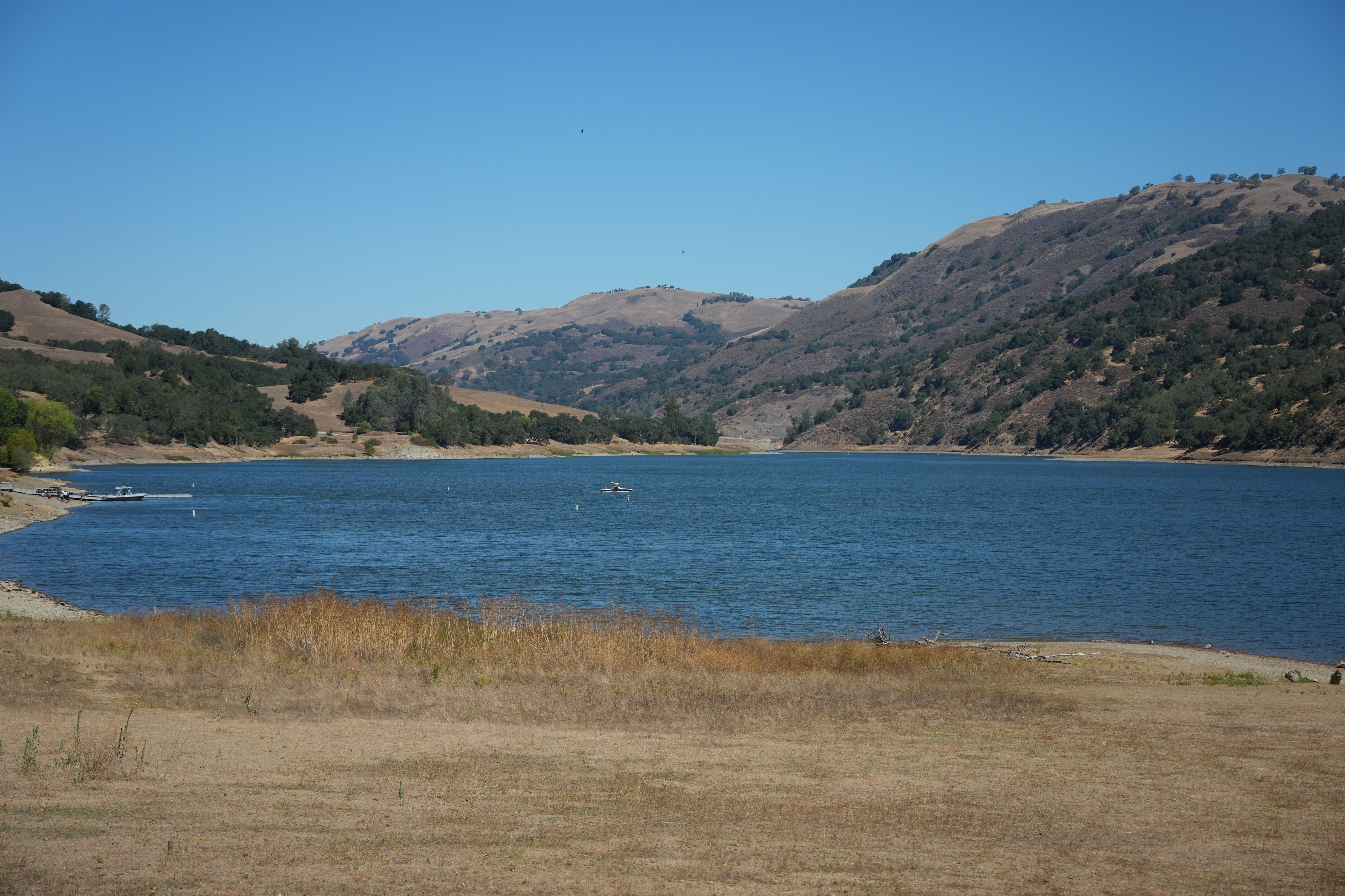 Coyote Lake Harvey Bear Ranch County Park