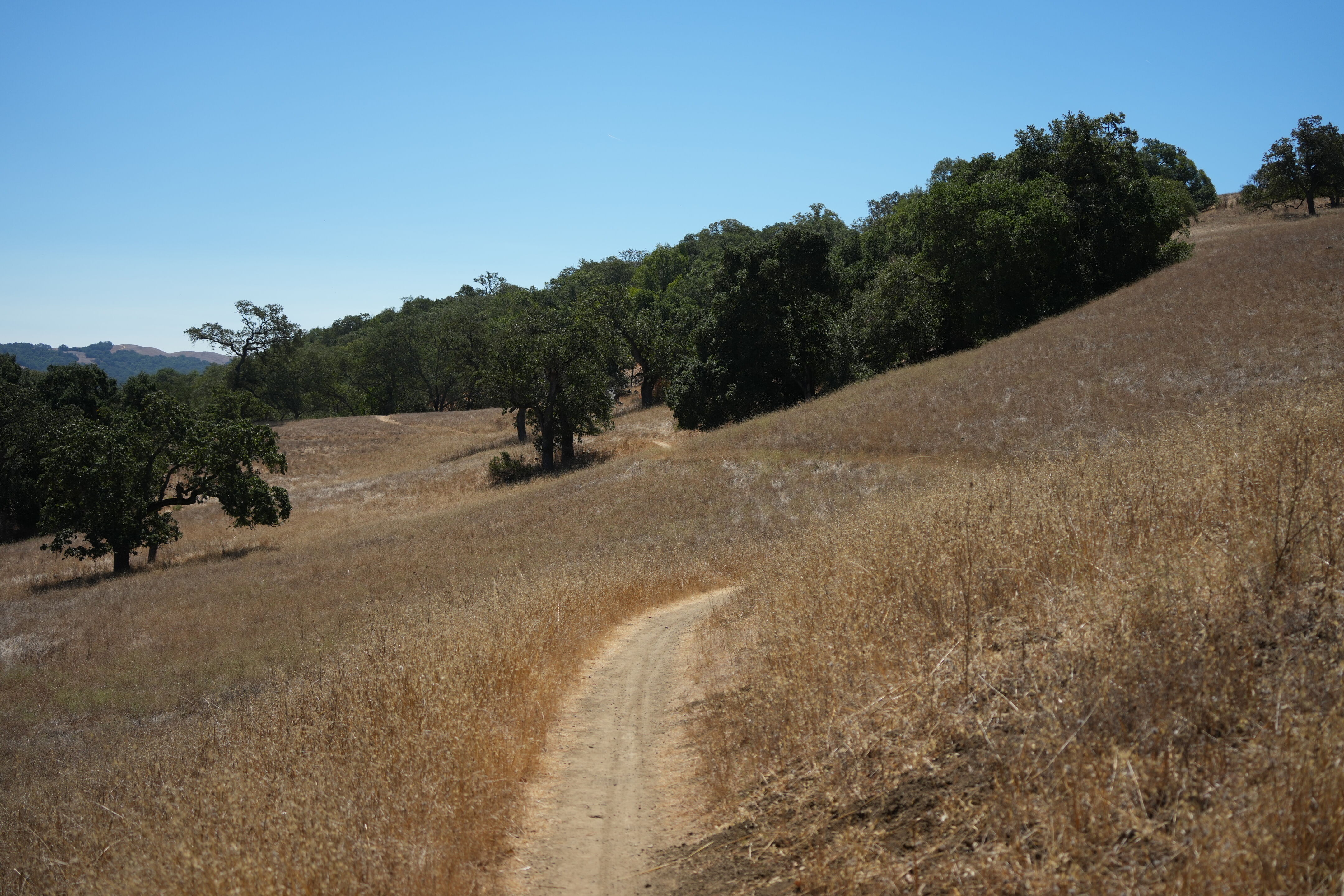 Coyote Lake Harvey Bear Ranch County Park