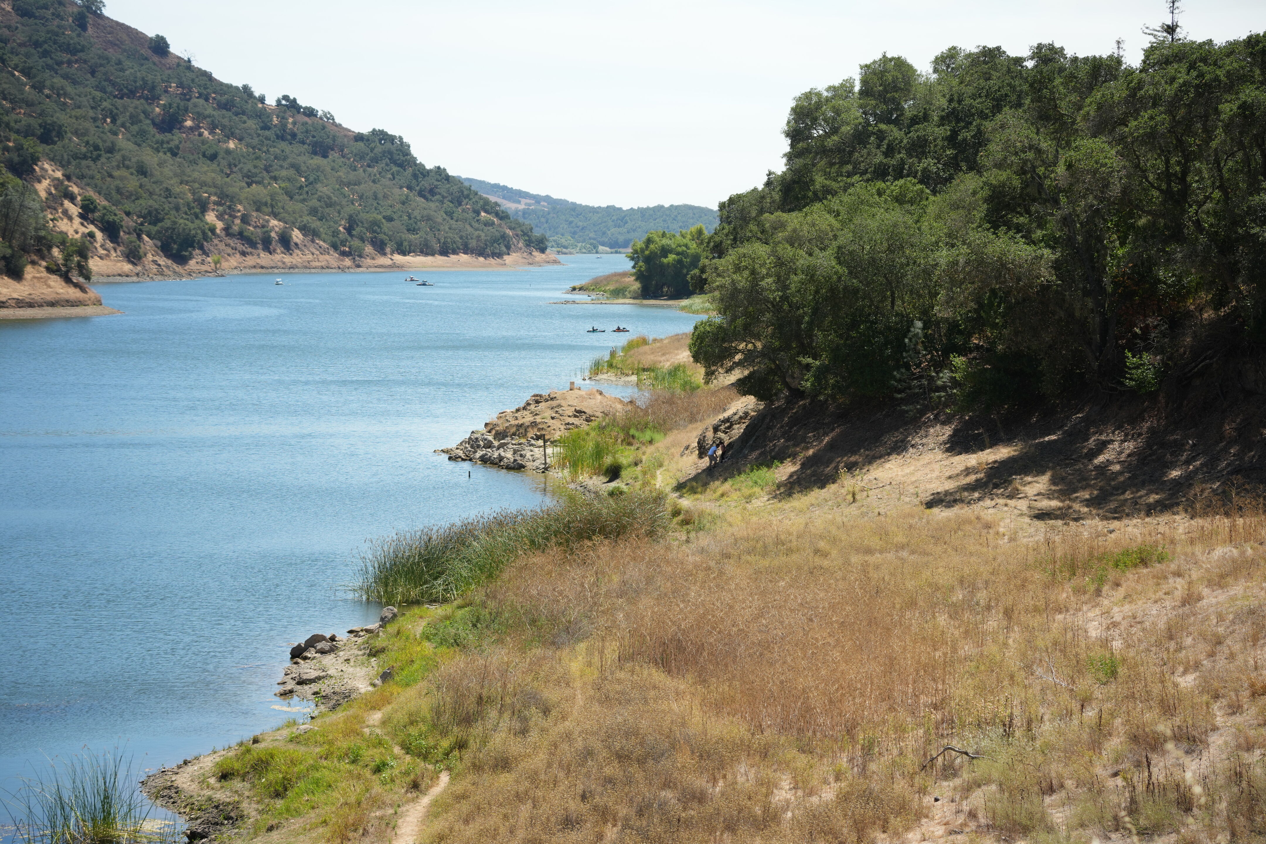 Coyote Lake Harvey Bear Ranch County Park
