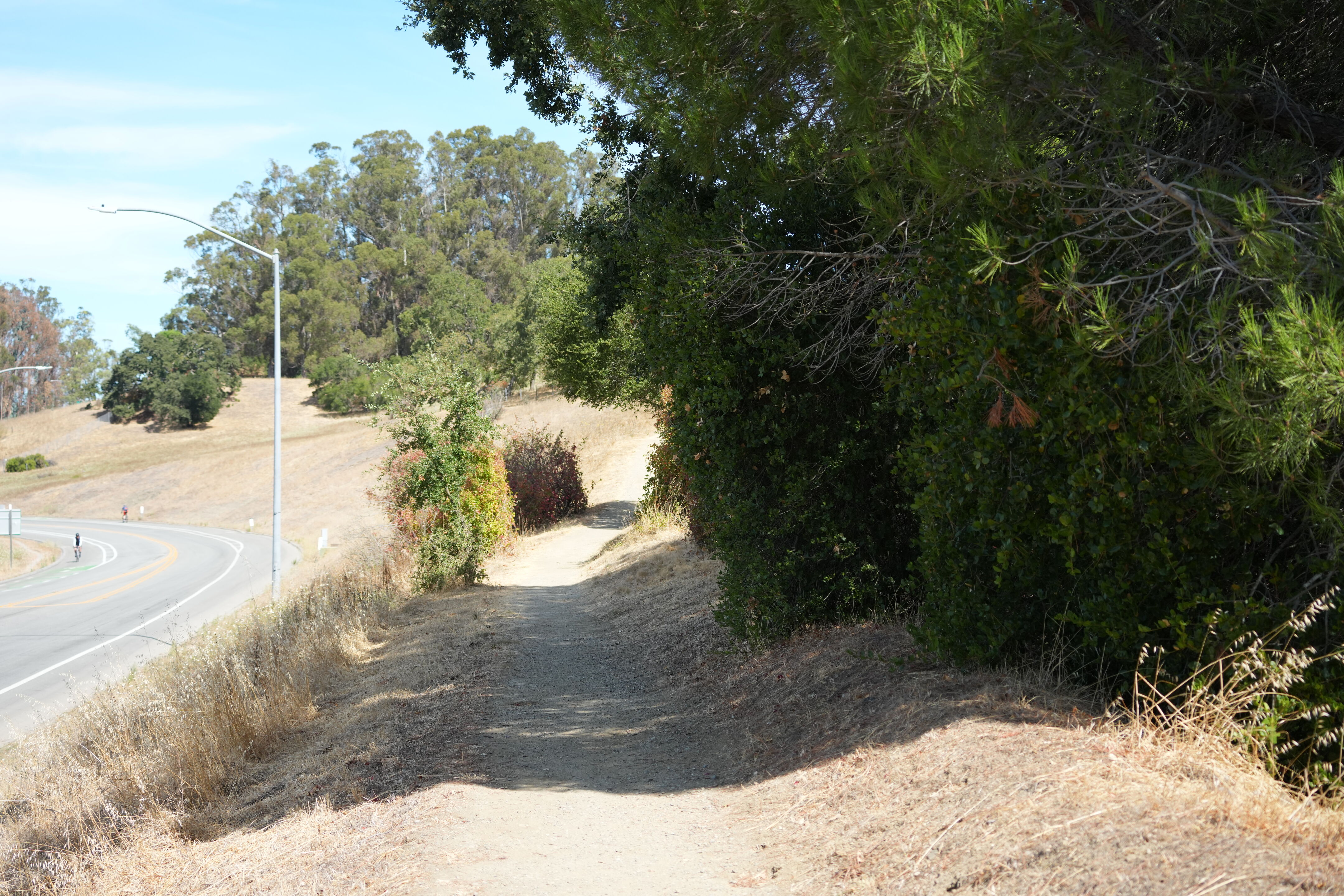 Edgewood Park Natural Preserve