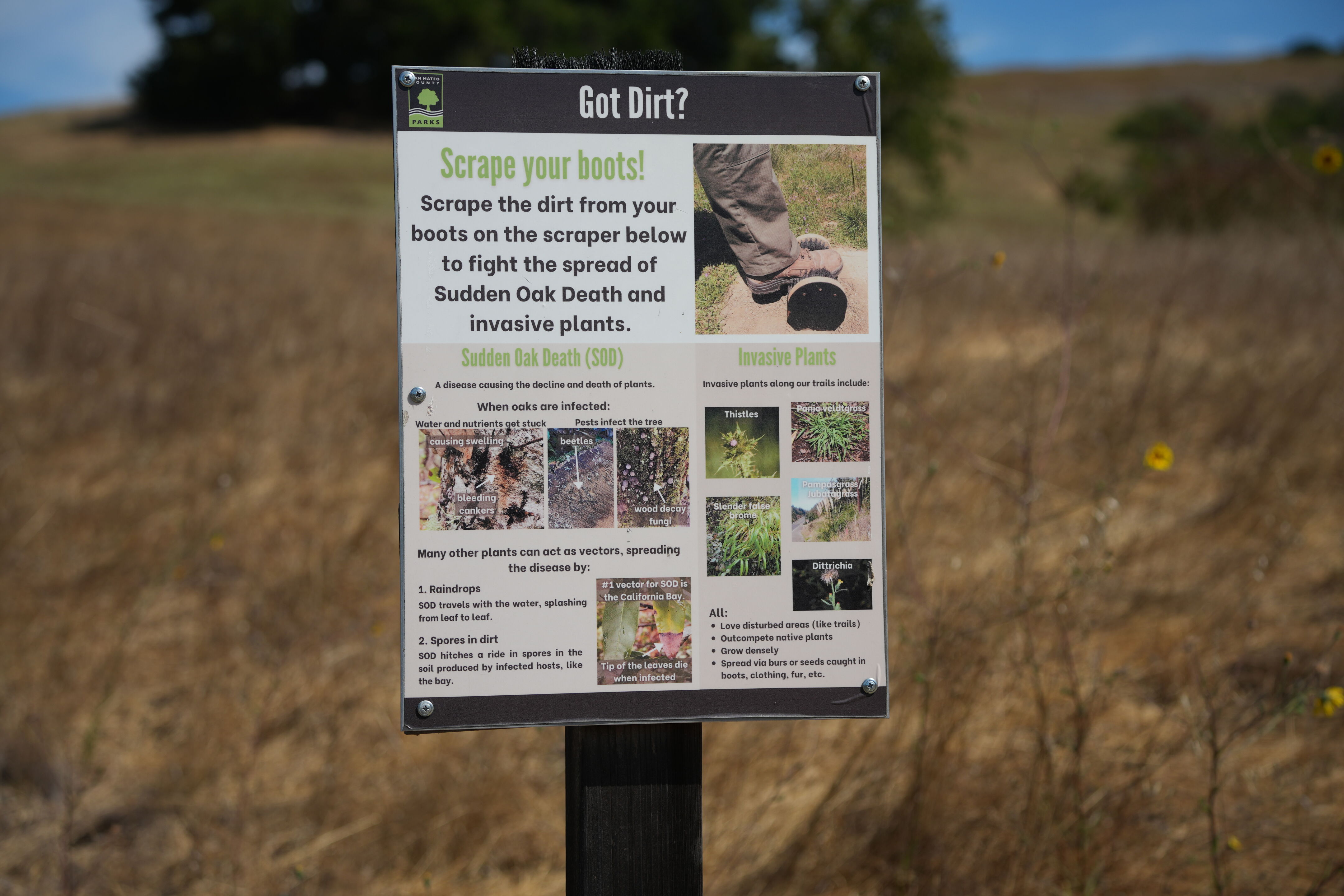 Edgewood Park Natural Preserve