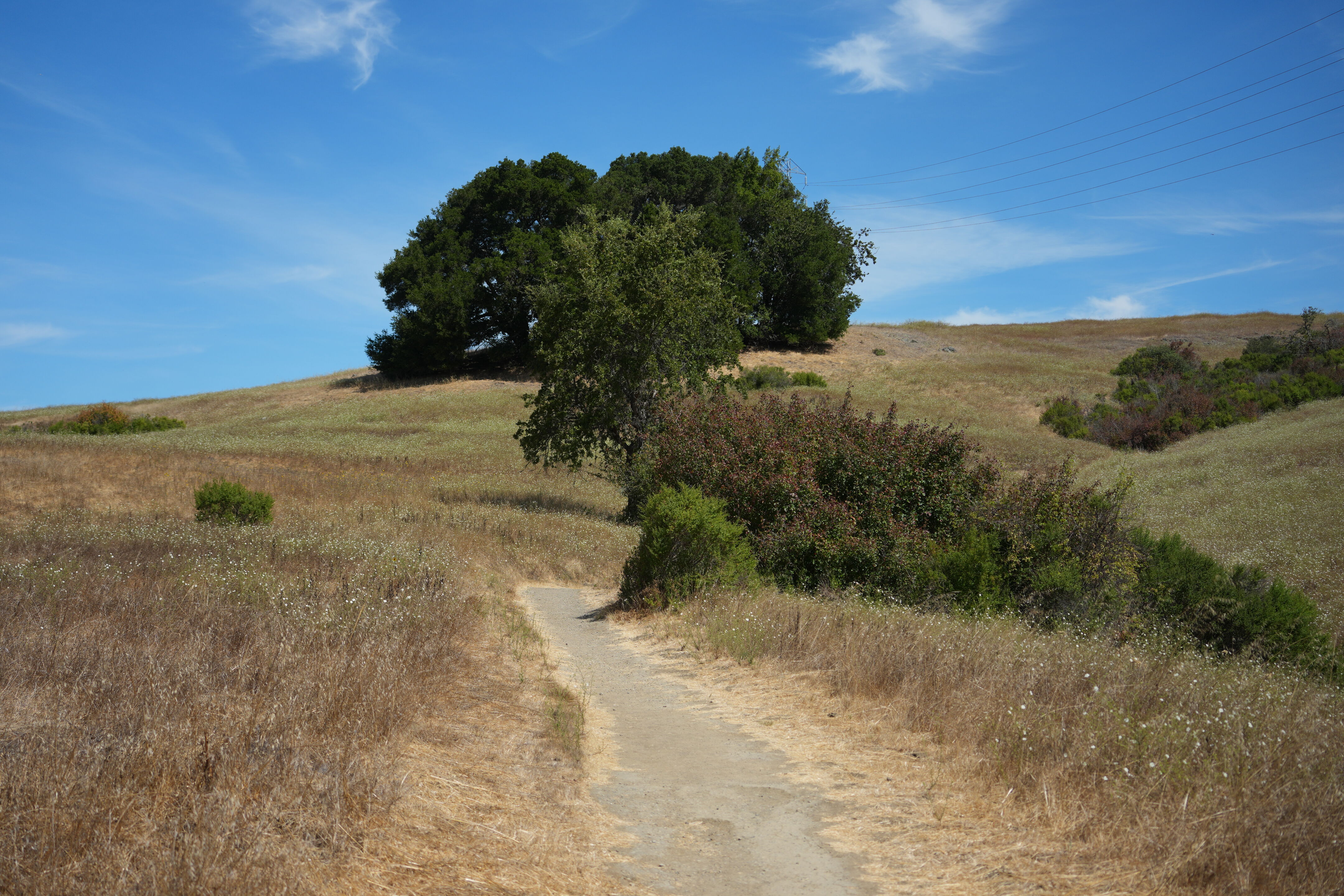 Edgewood Park Natural Preserve