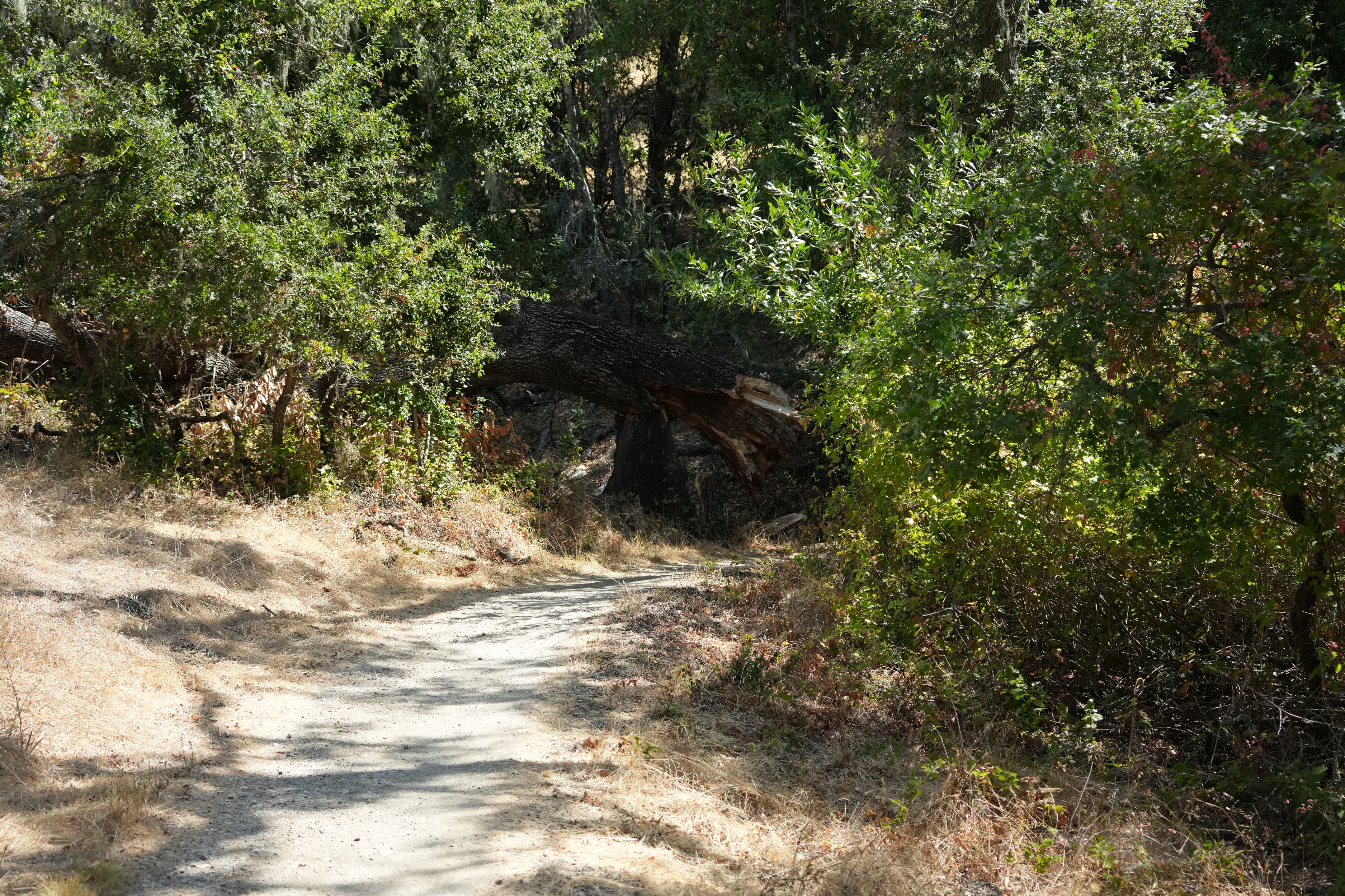 Edgewood Park Natural Preserve