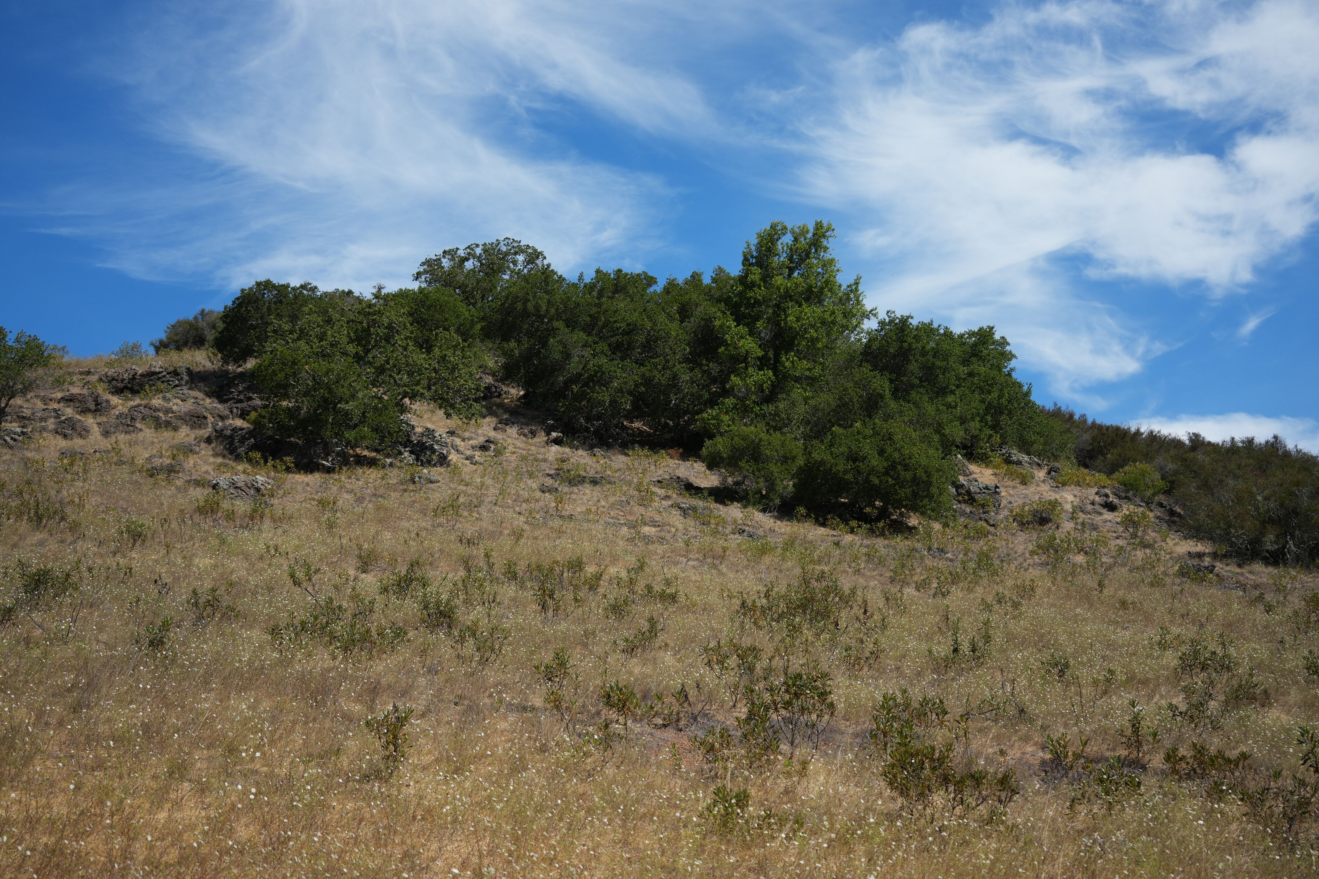 Edgewood Park Natural Preserve