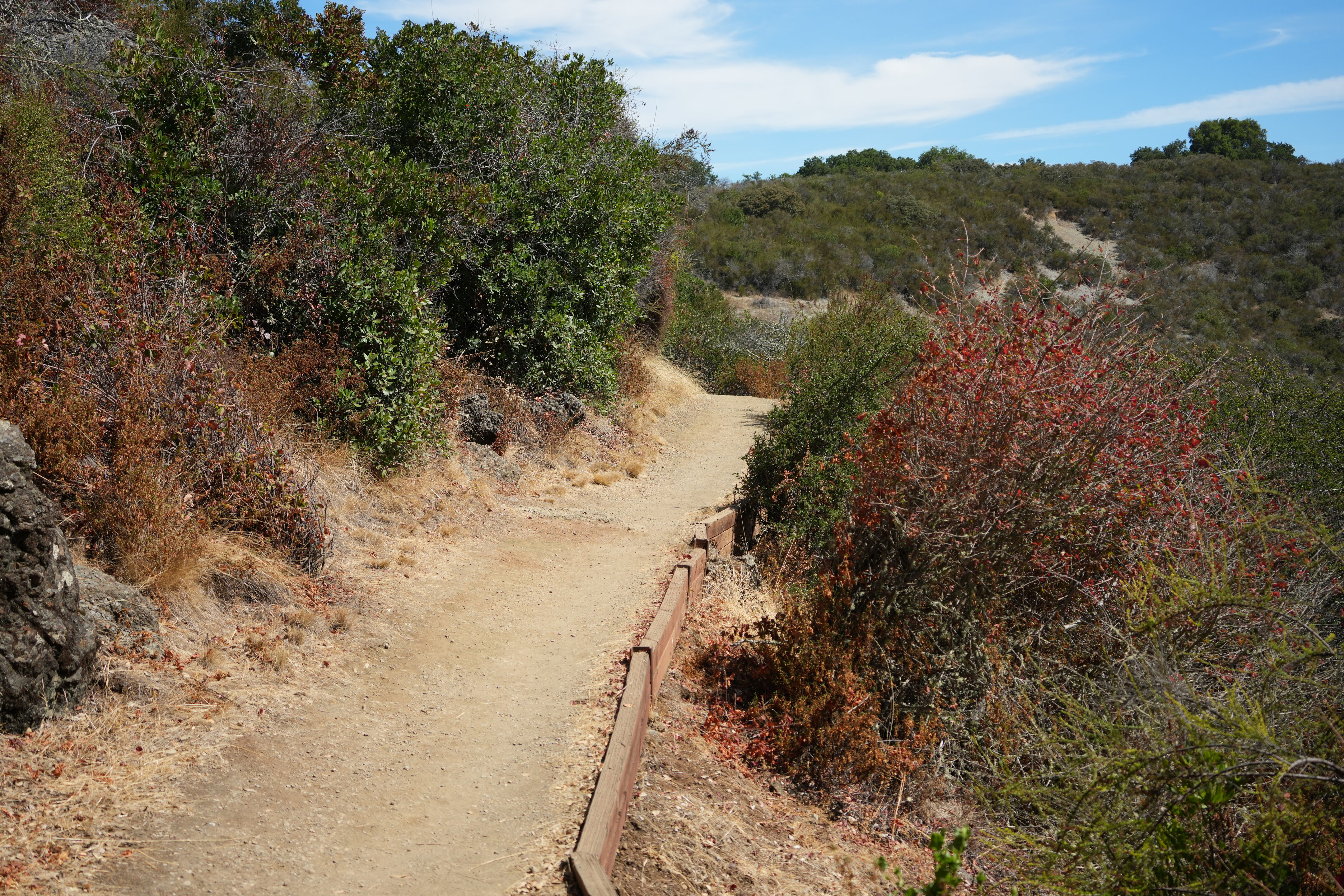 Edgewood Park Natural Preserve
