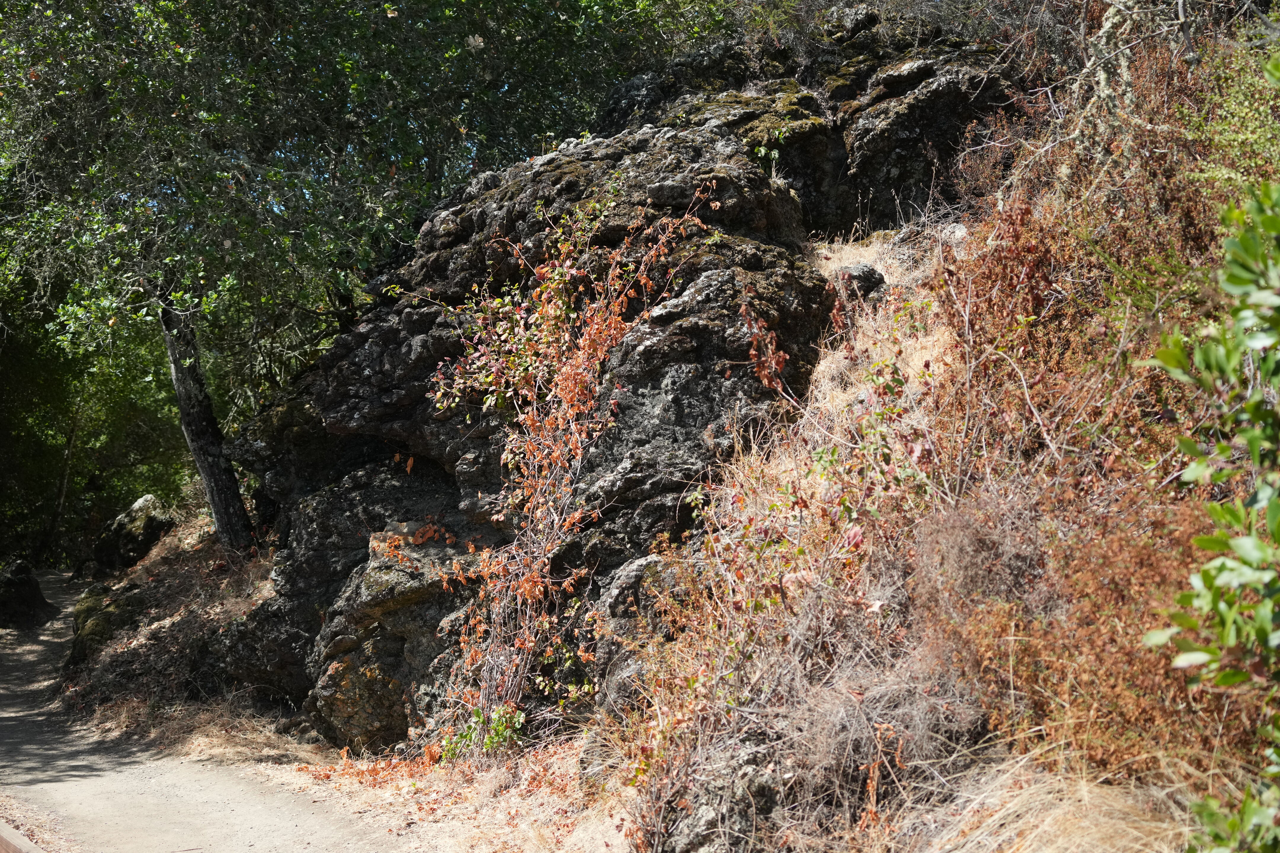 Edgewood Park Natural Preserve