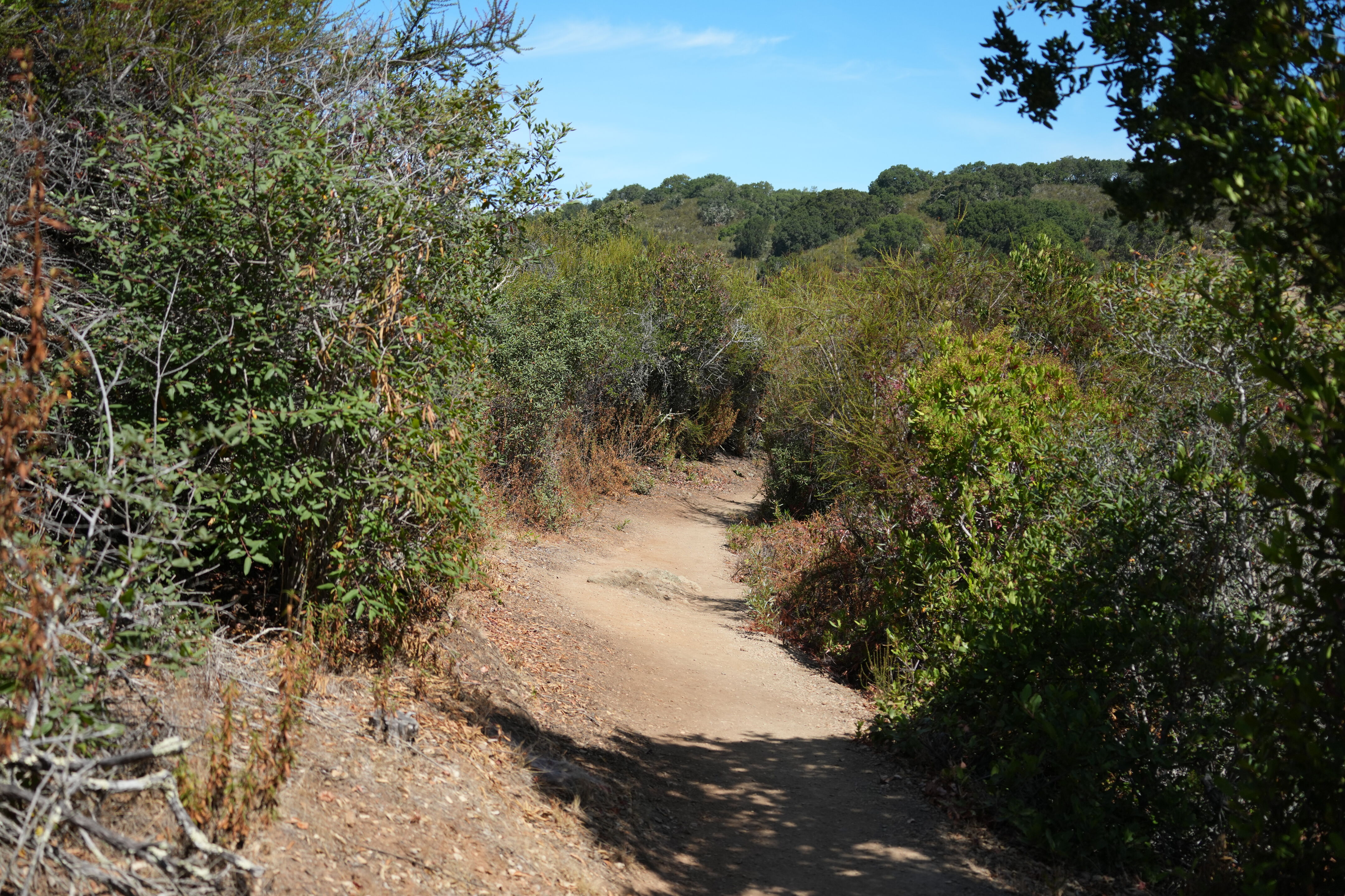 Edgewood Park Natural Preserve