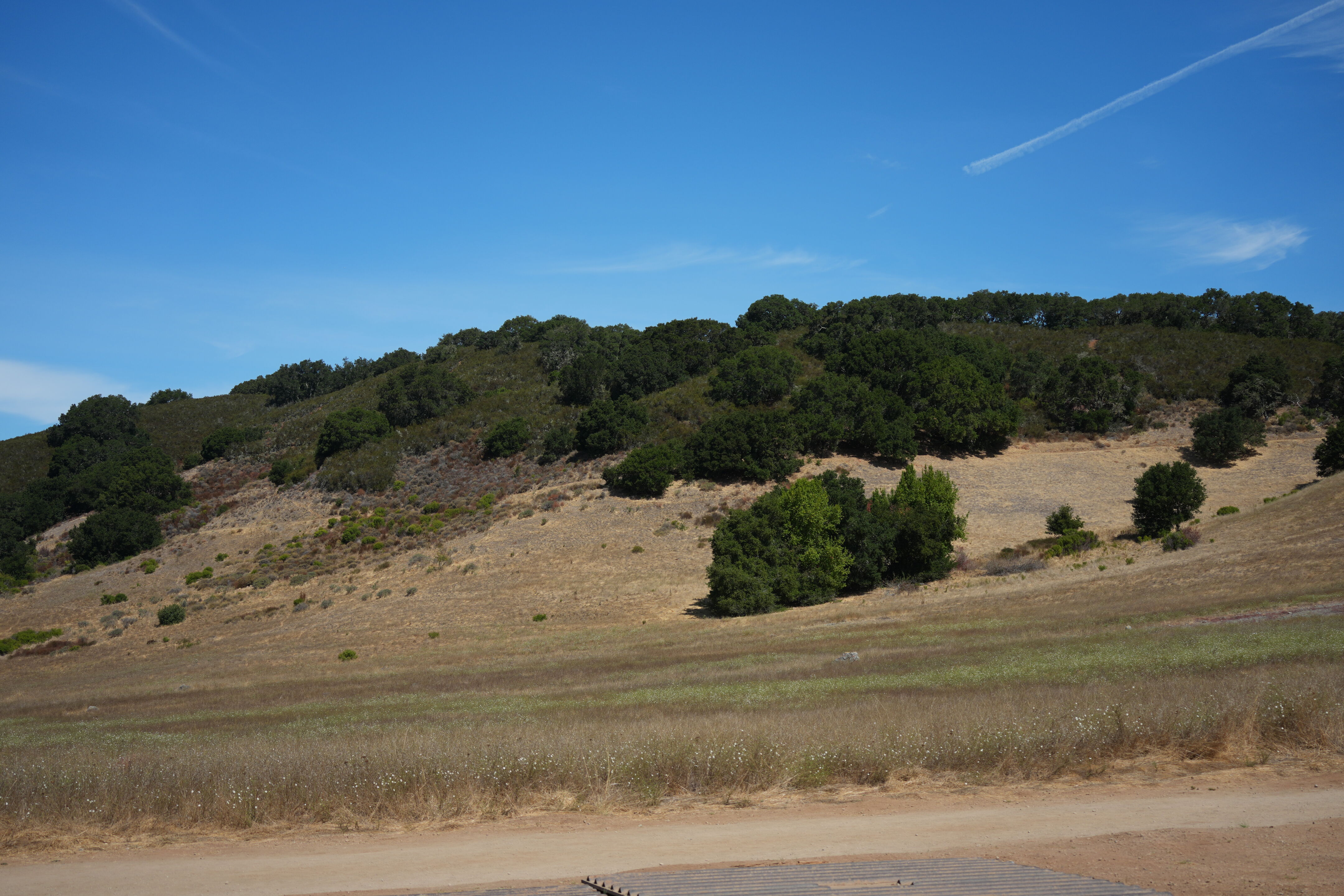 Edgewood Park Natural Preserve