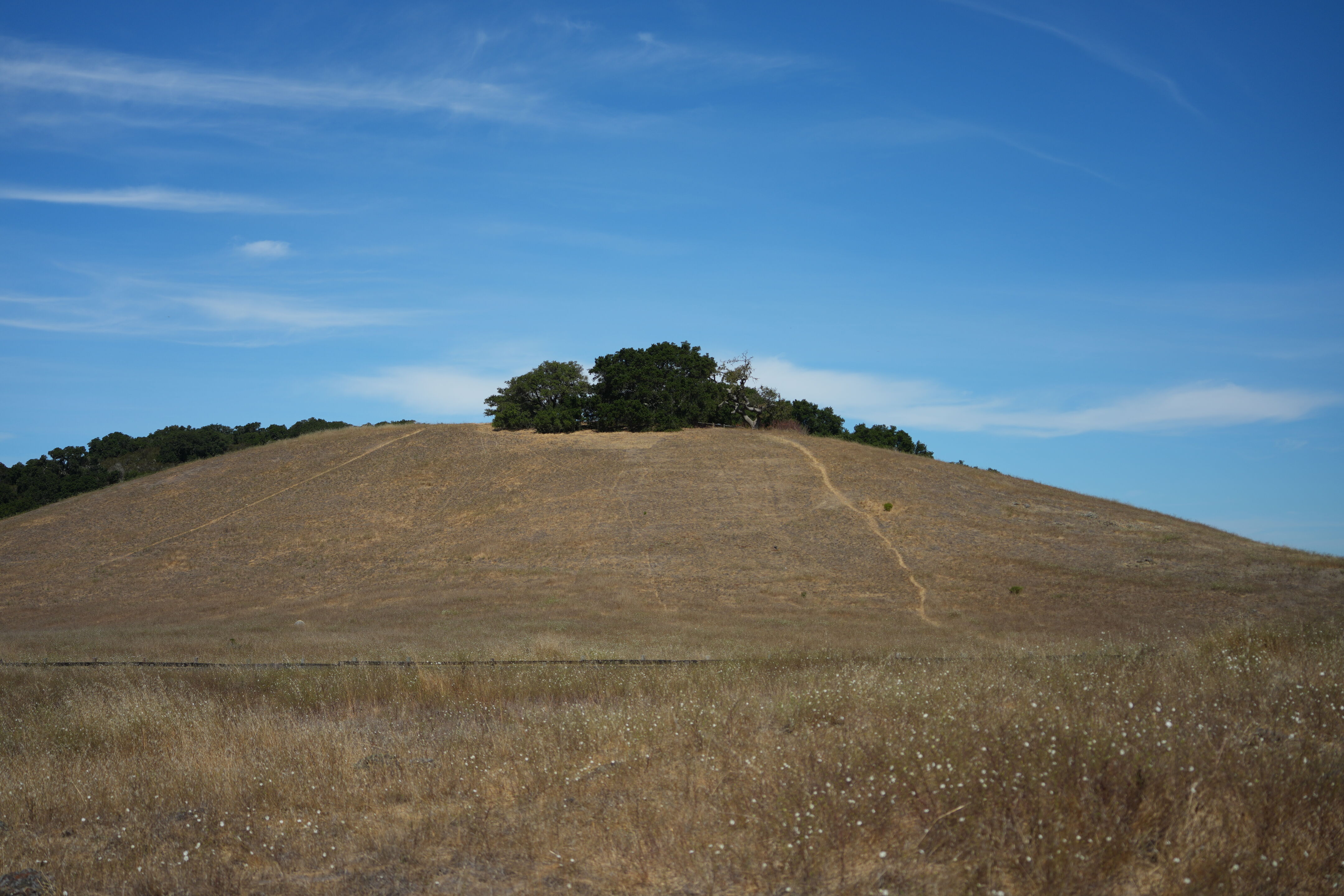 Edgewood Park Natural Preserve