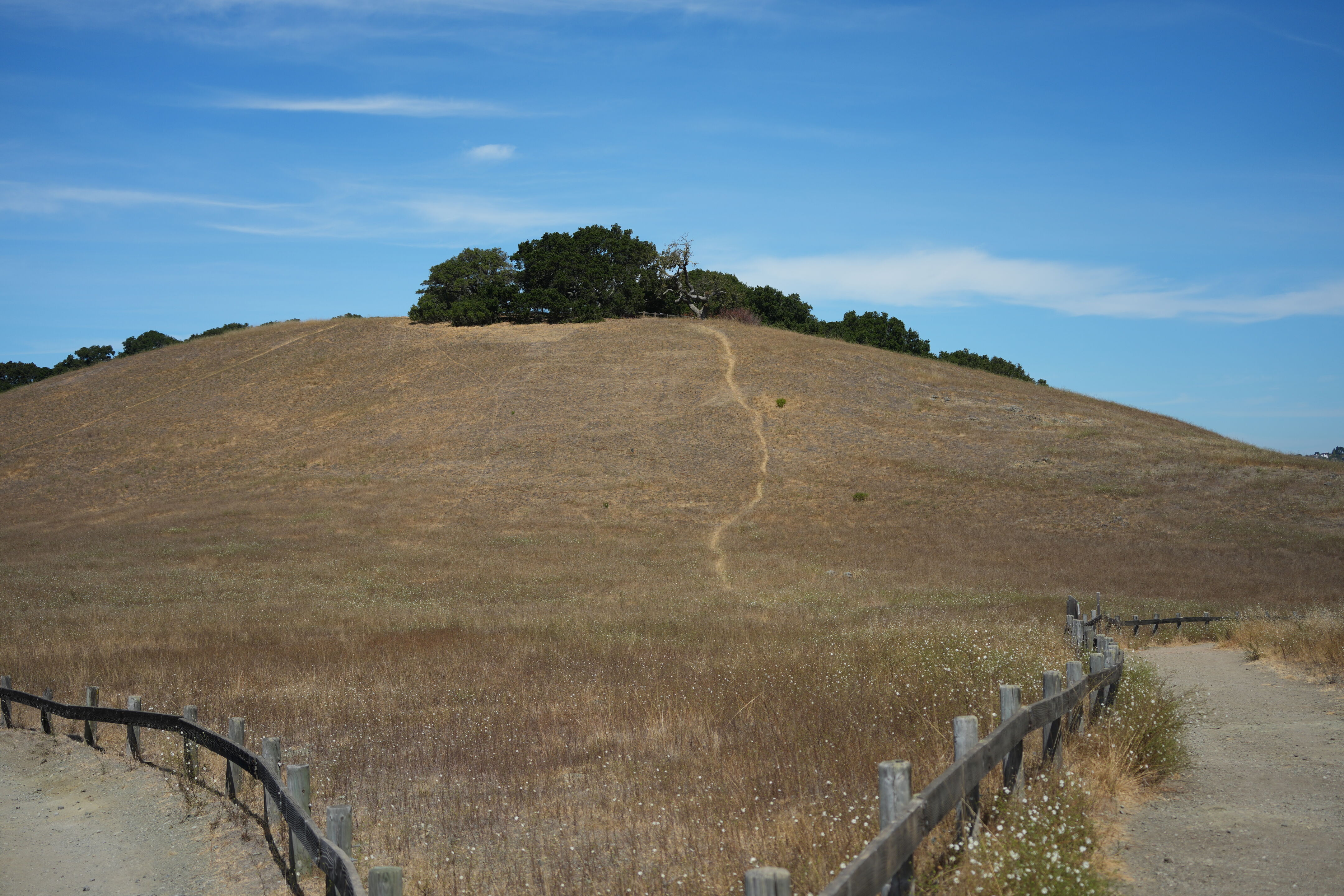 Edgewood Park Natural Preserve