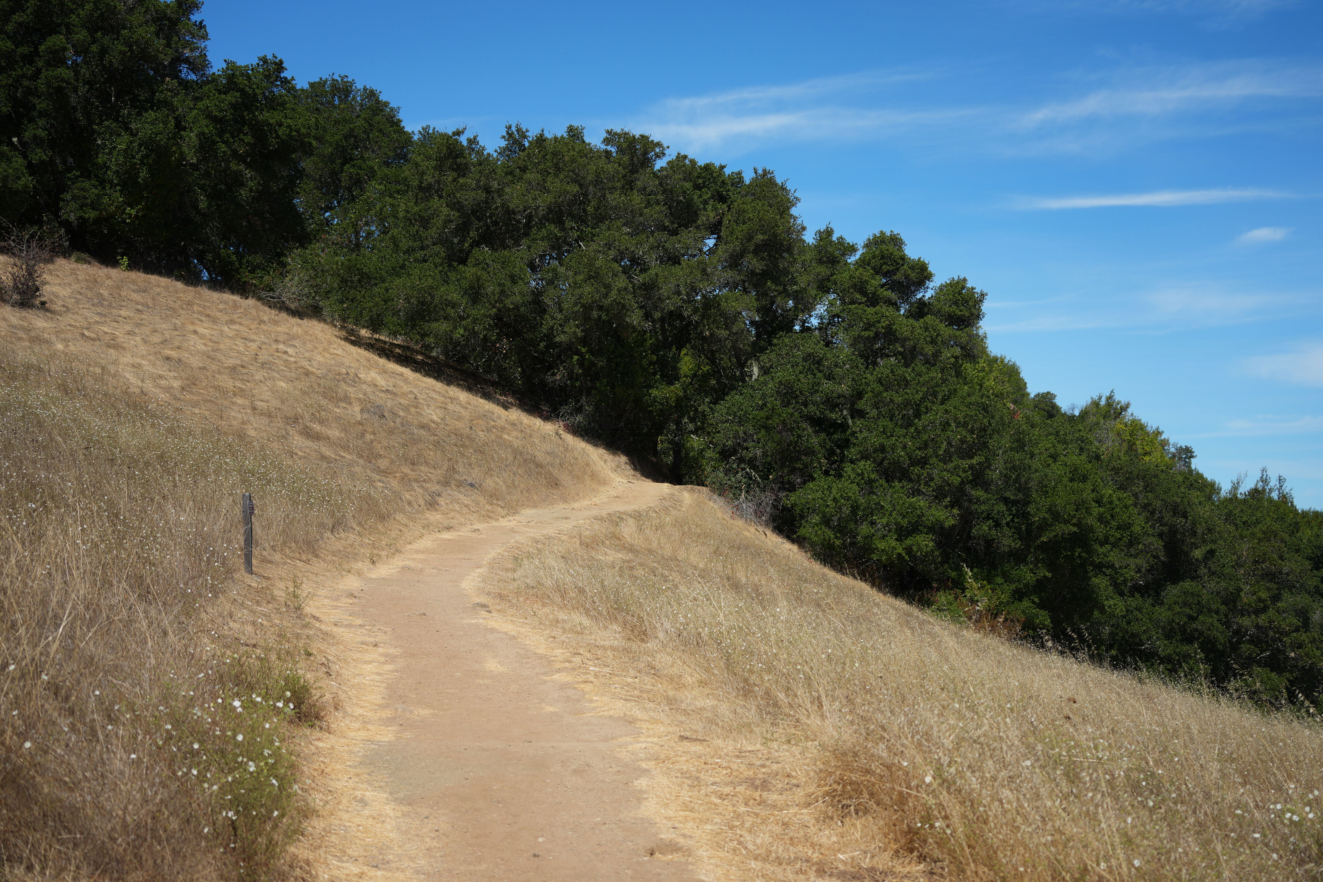 Edgewood Park Natural Preserve