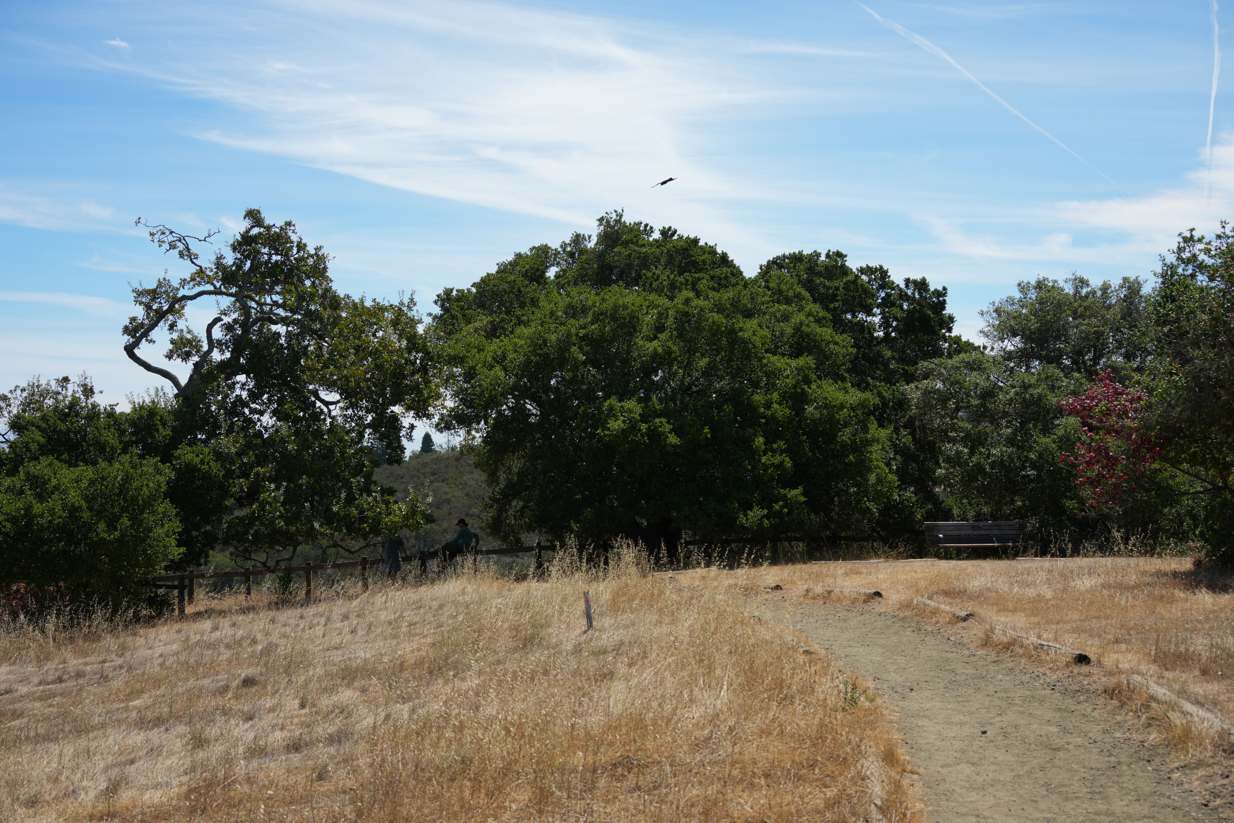 Edgewood Park Natural Preserve