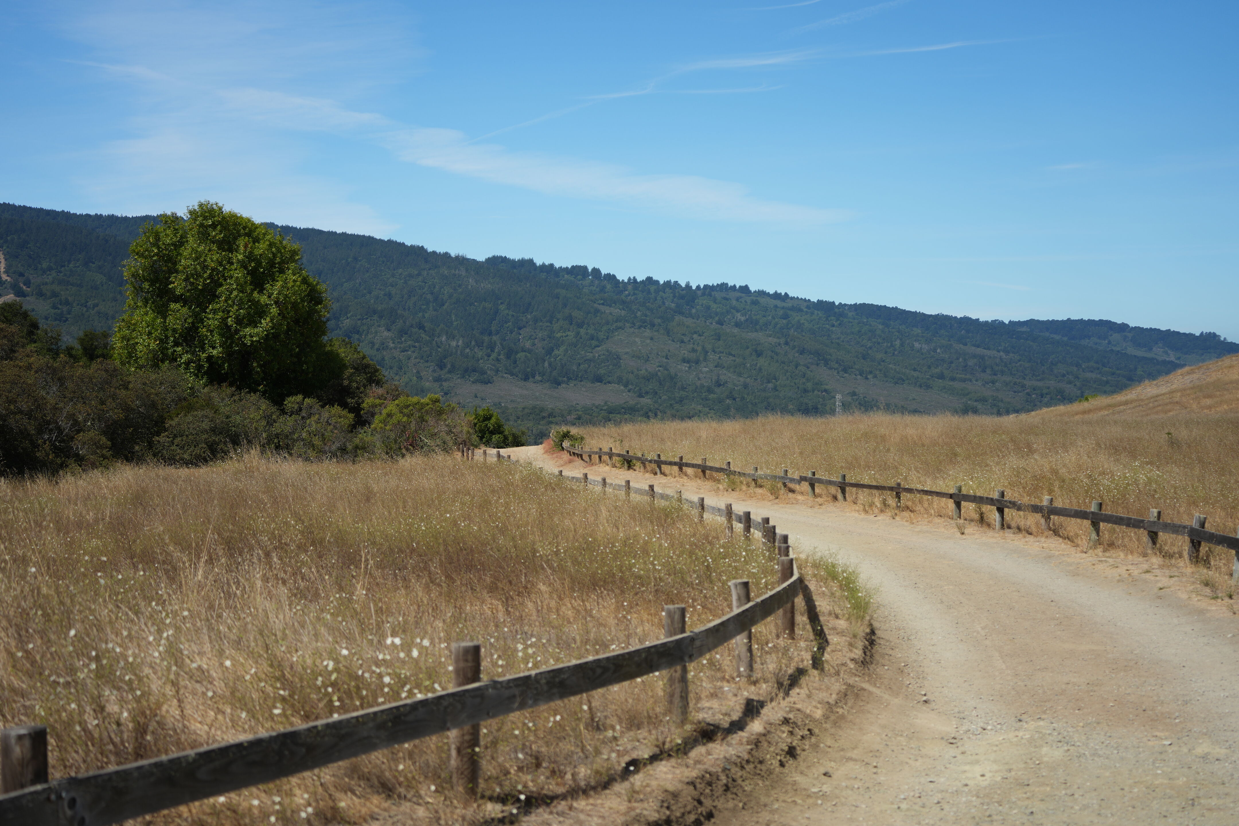 Edgewood Park Natural Preserve