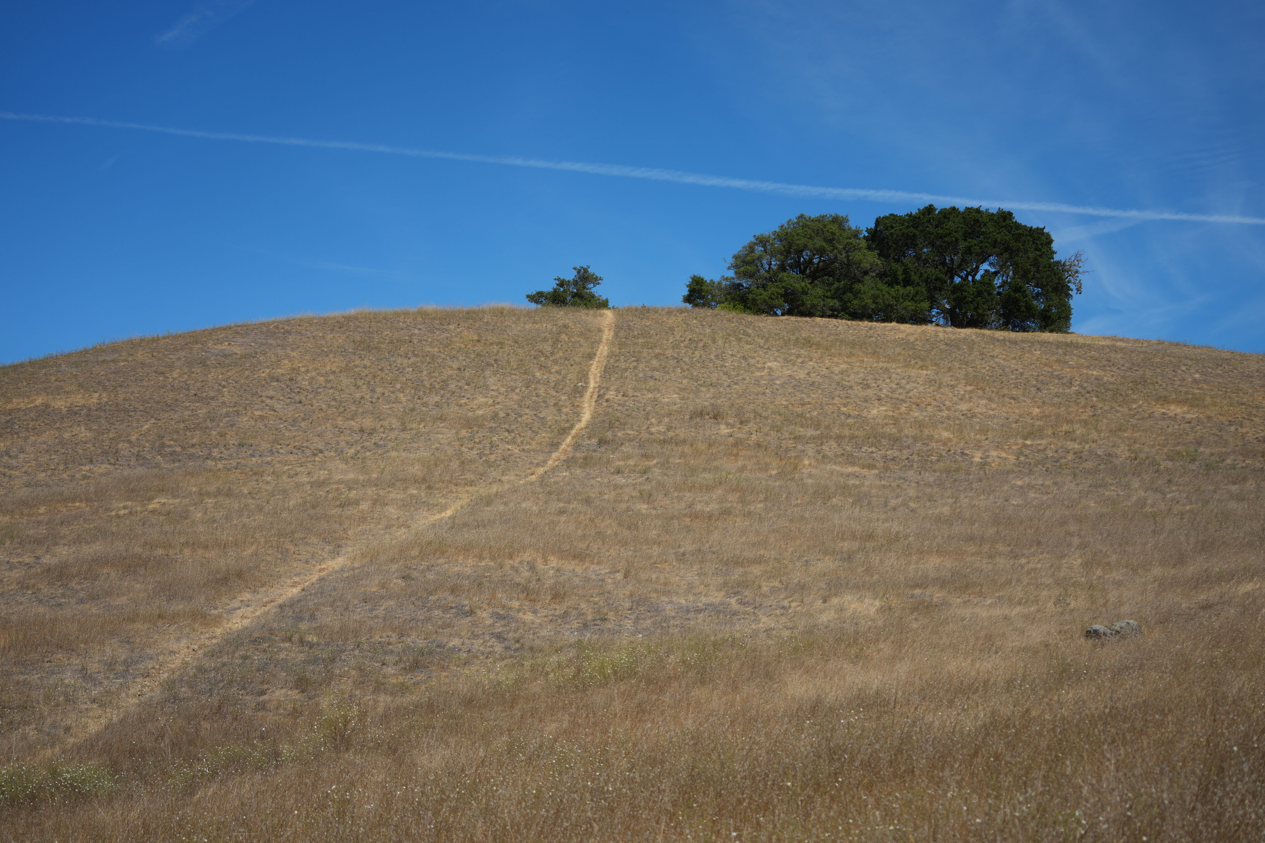 Edgewood Park Natural Preserve