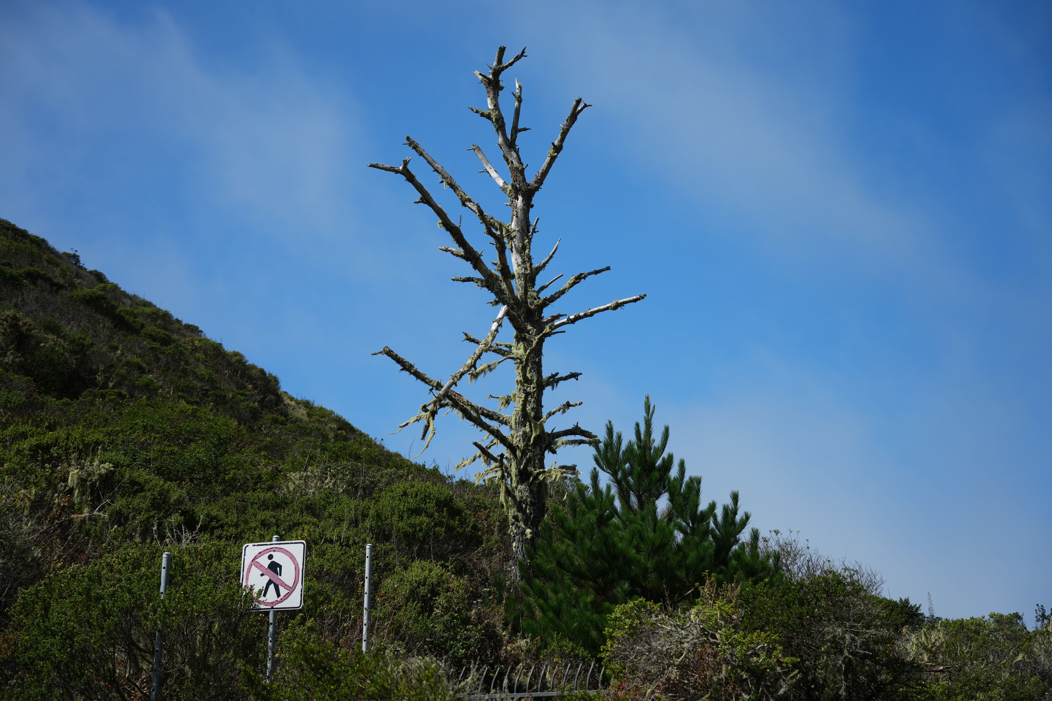 Devil’s Slide Trail