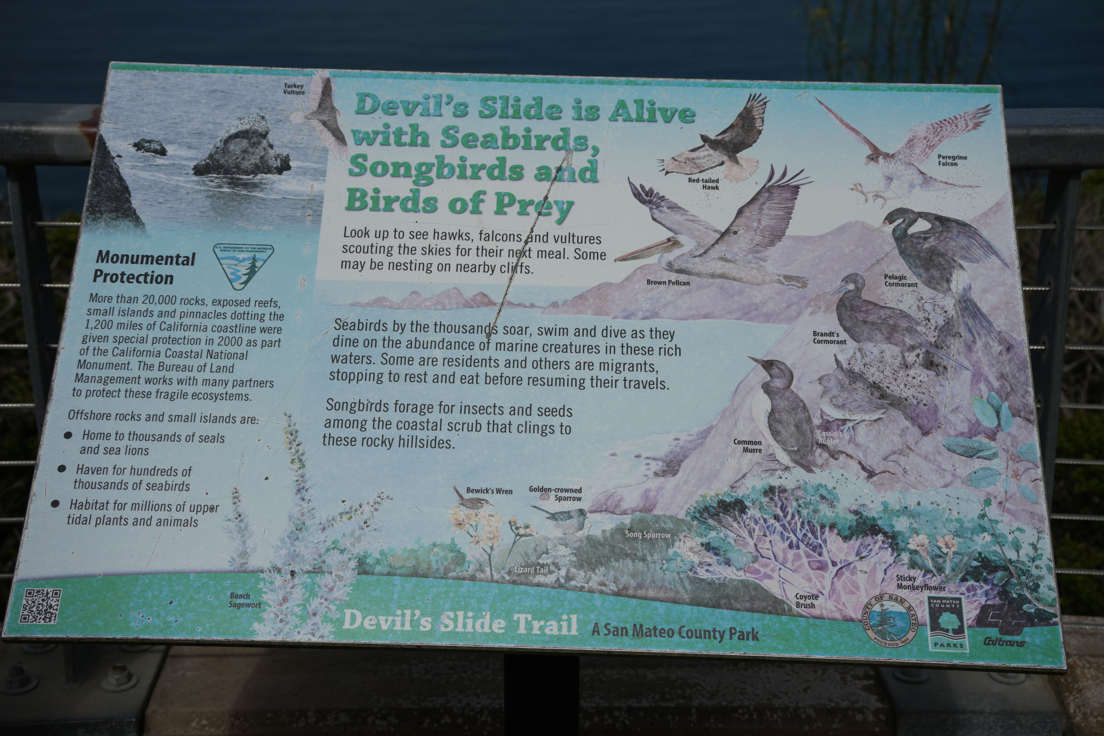 Devil’s Slide Trail