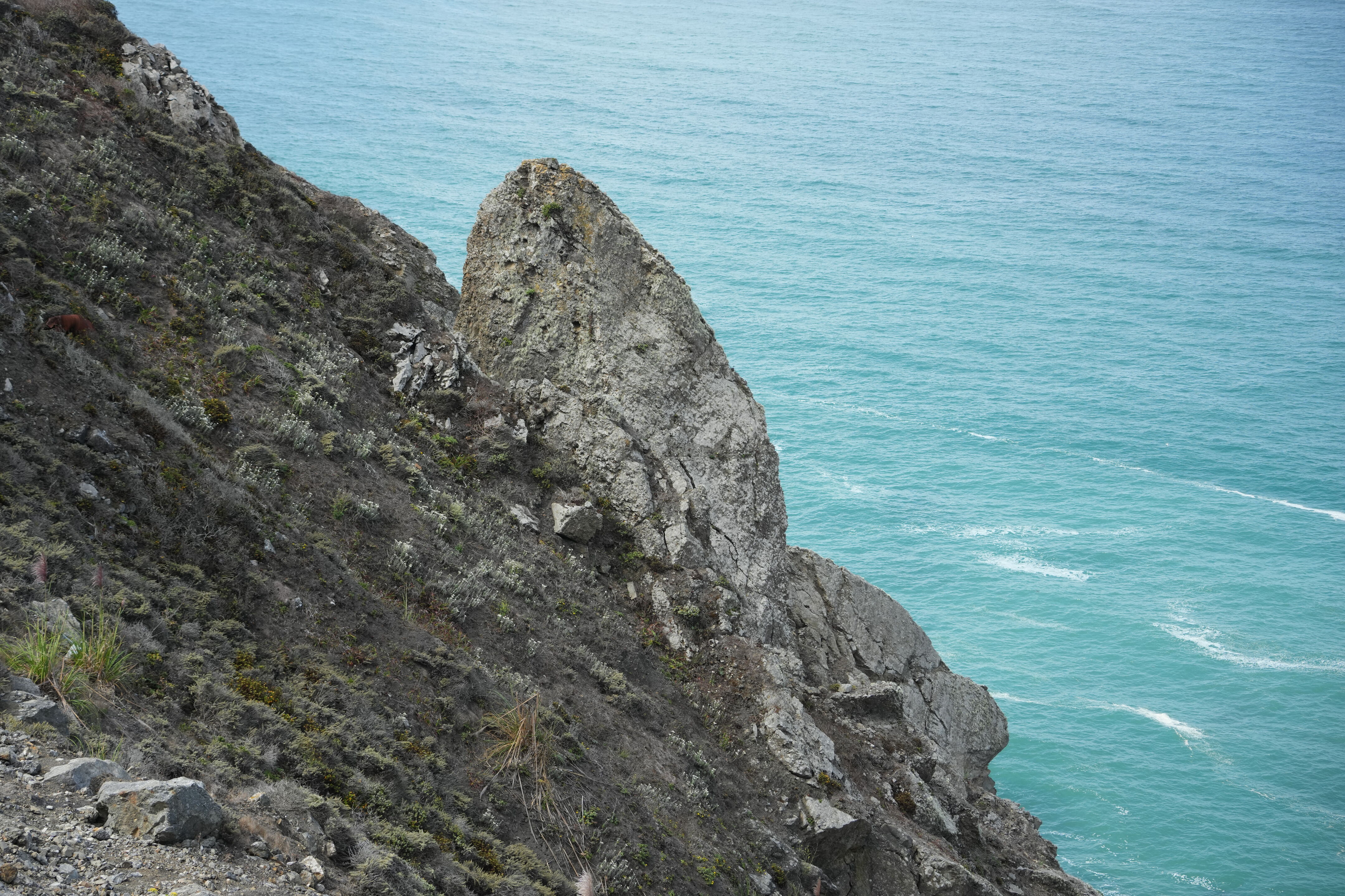 Devil’s Slide Trail