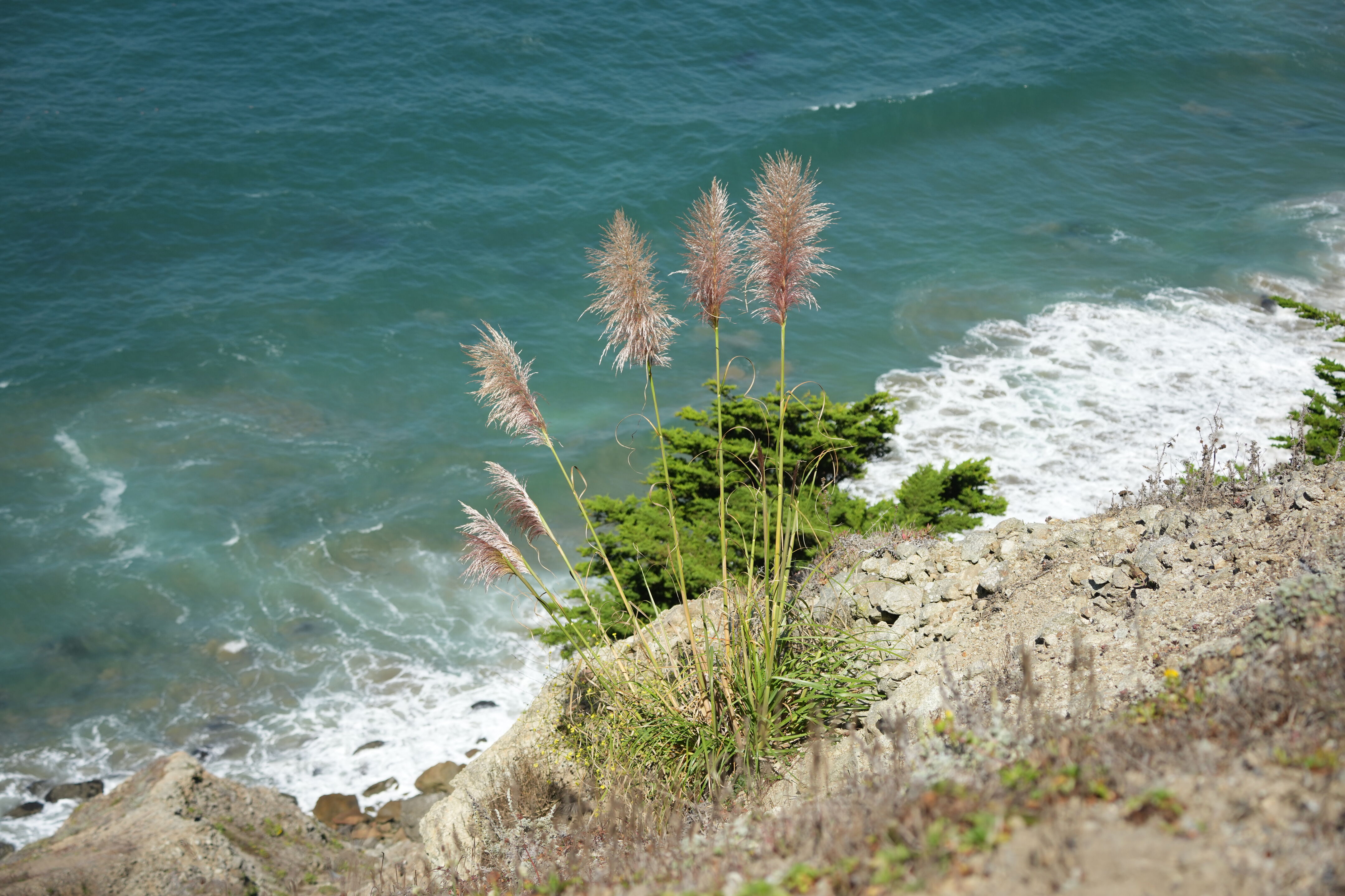 Devil’s Slide Trail
