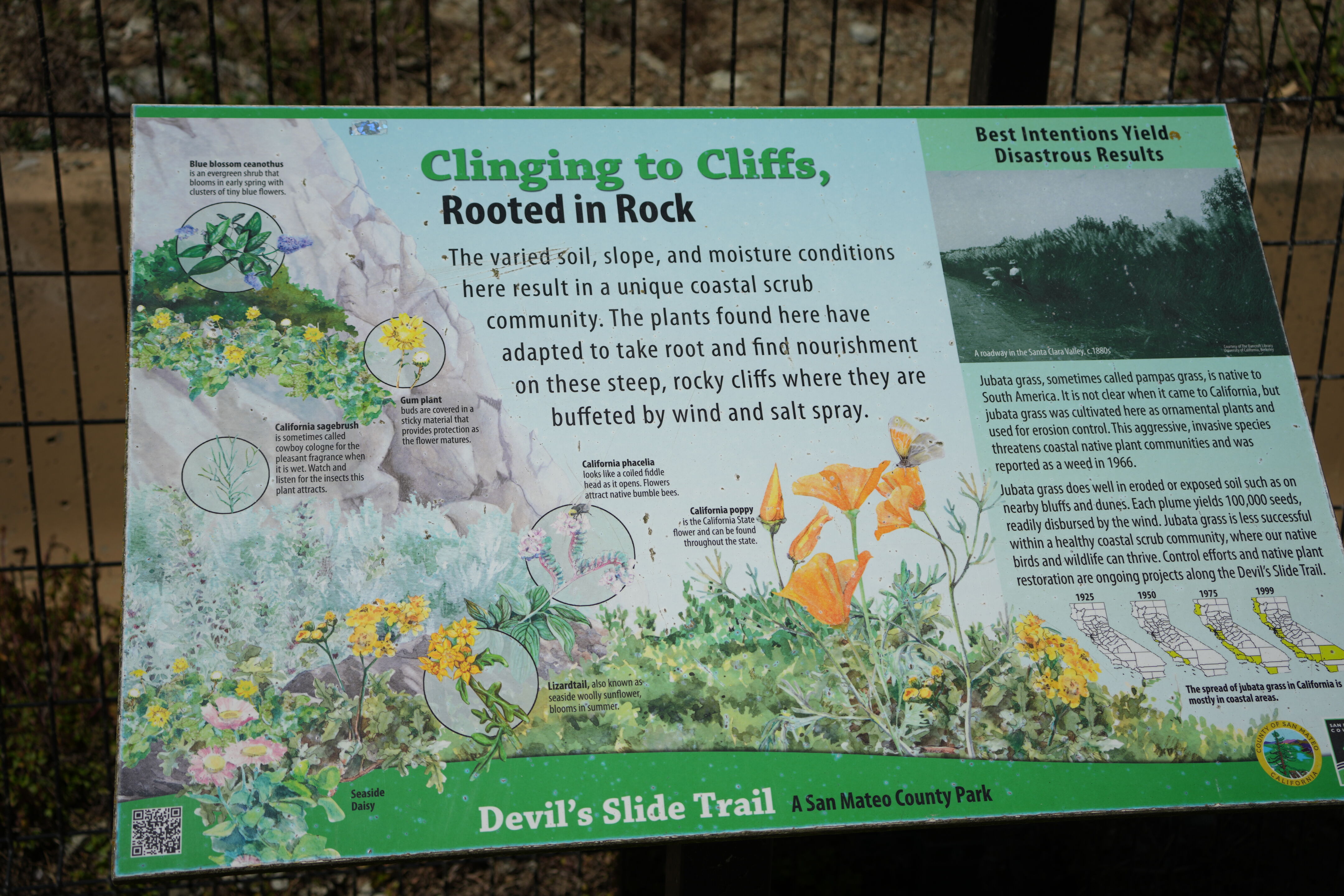 Devil’s Slide Trail