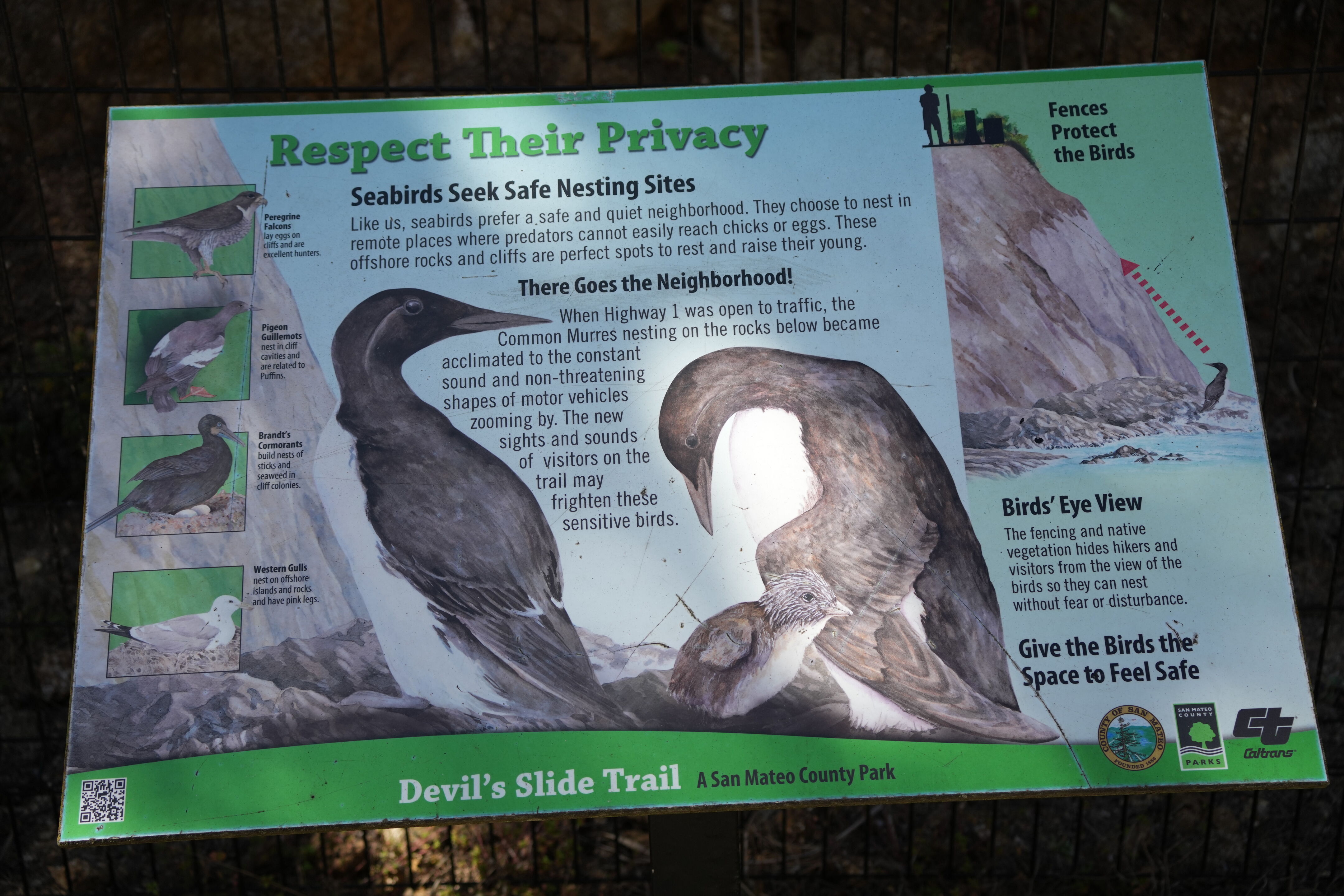 Devil’s Slide Trail