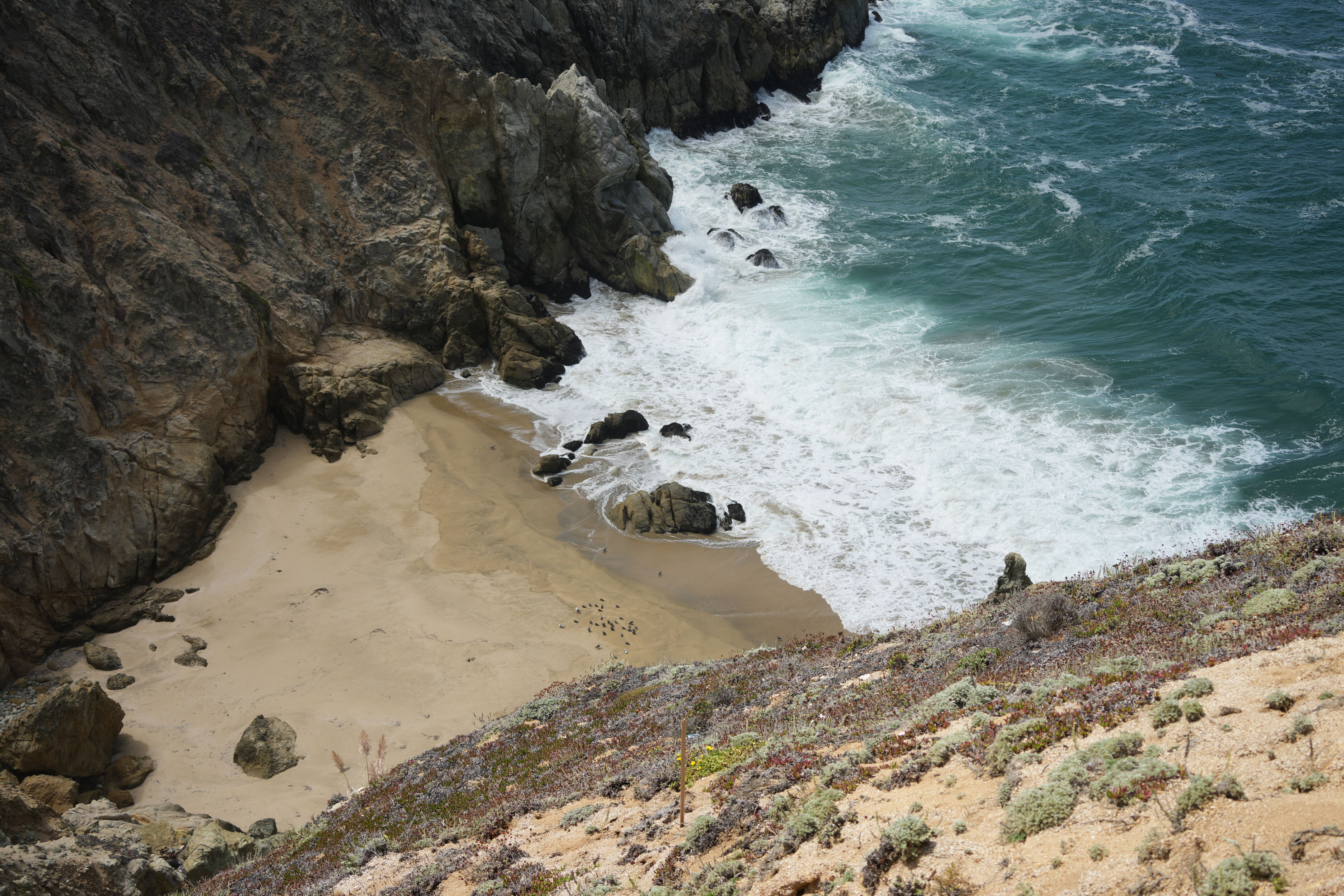 Devil’s Slide Trail