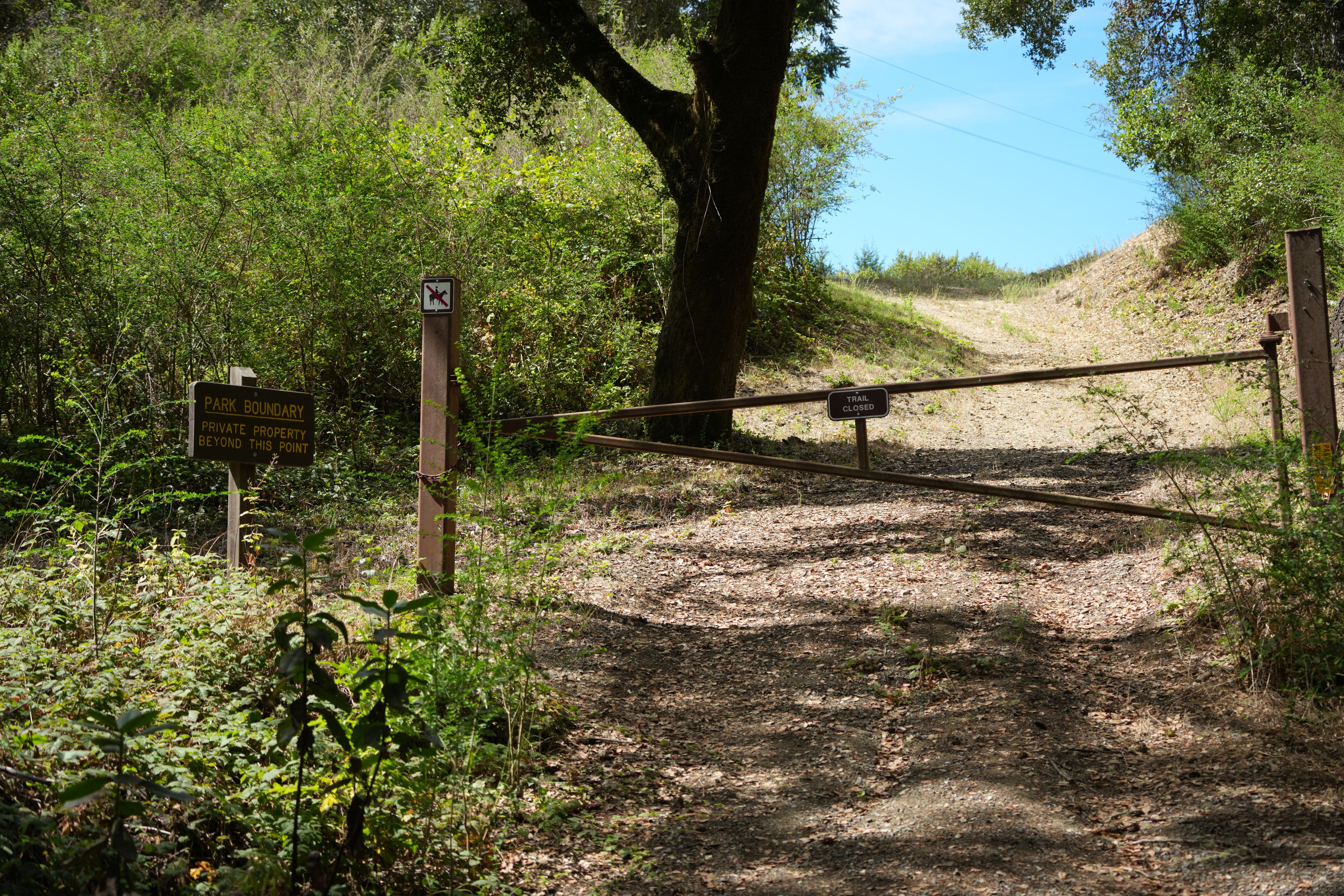 Sam McDonald Park