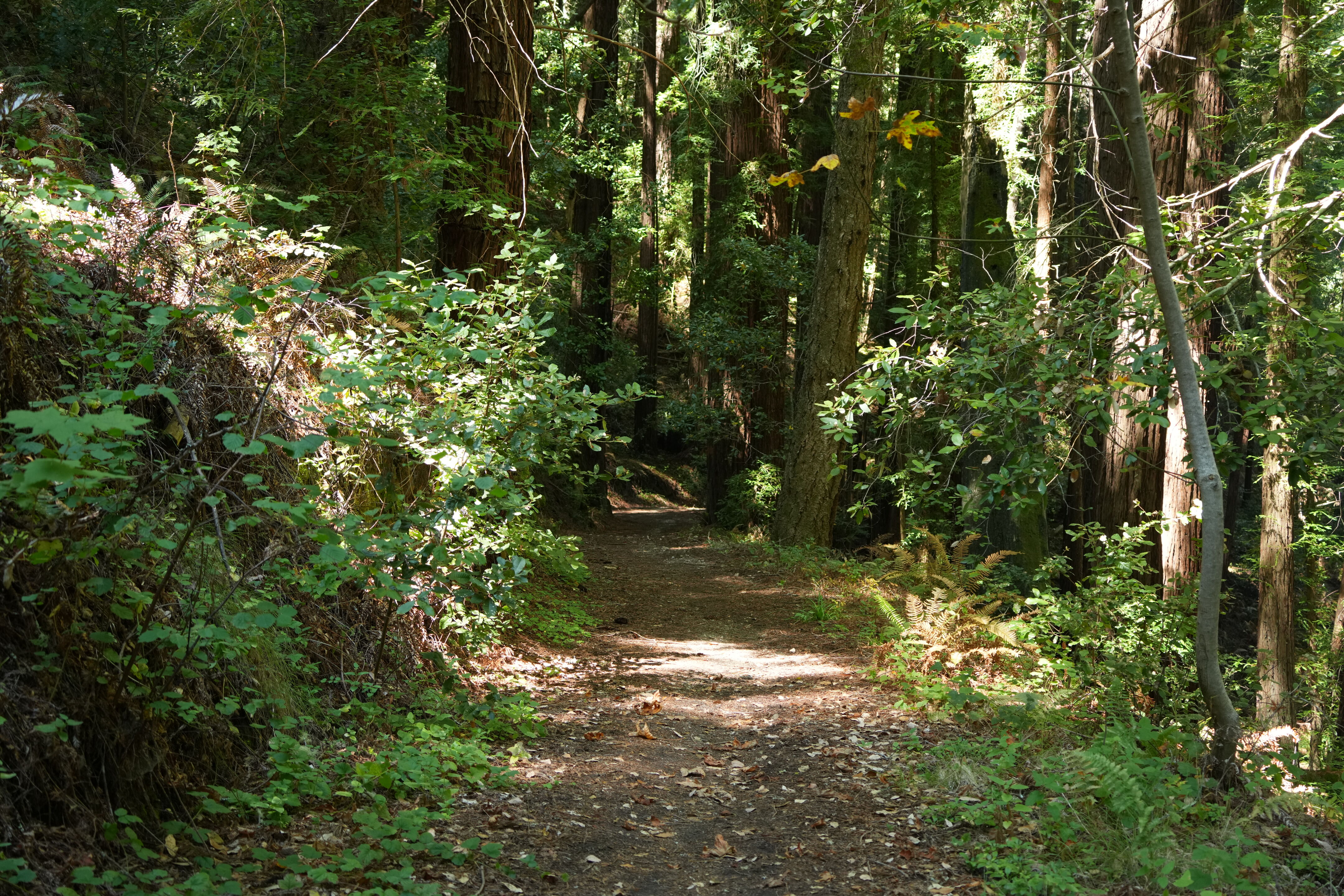 Sam McDonald Park