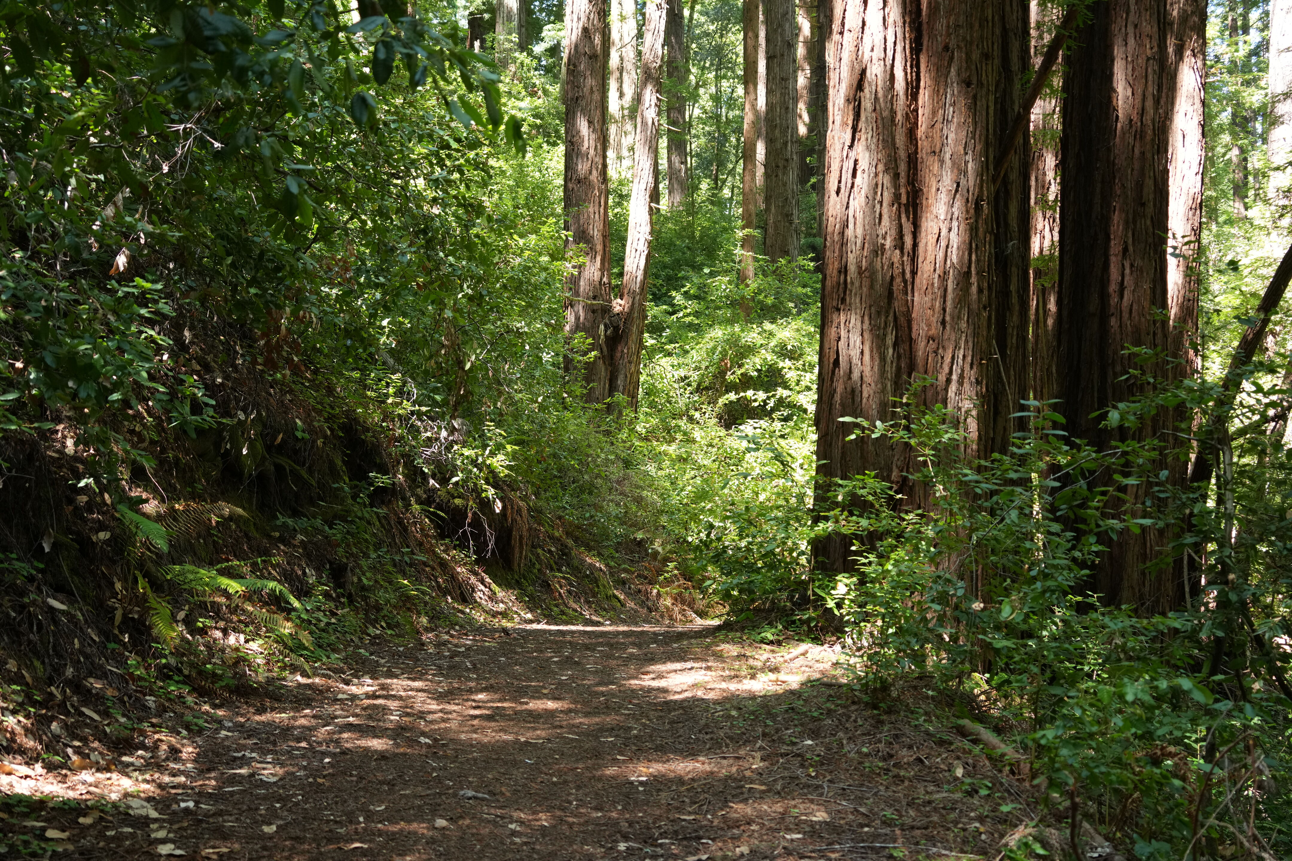 Sam McDonald Park