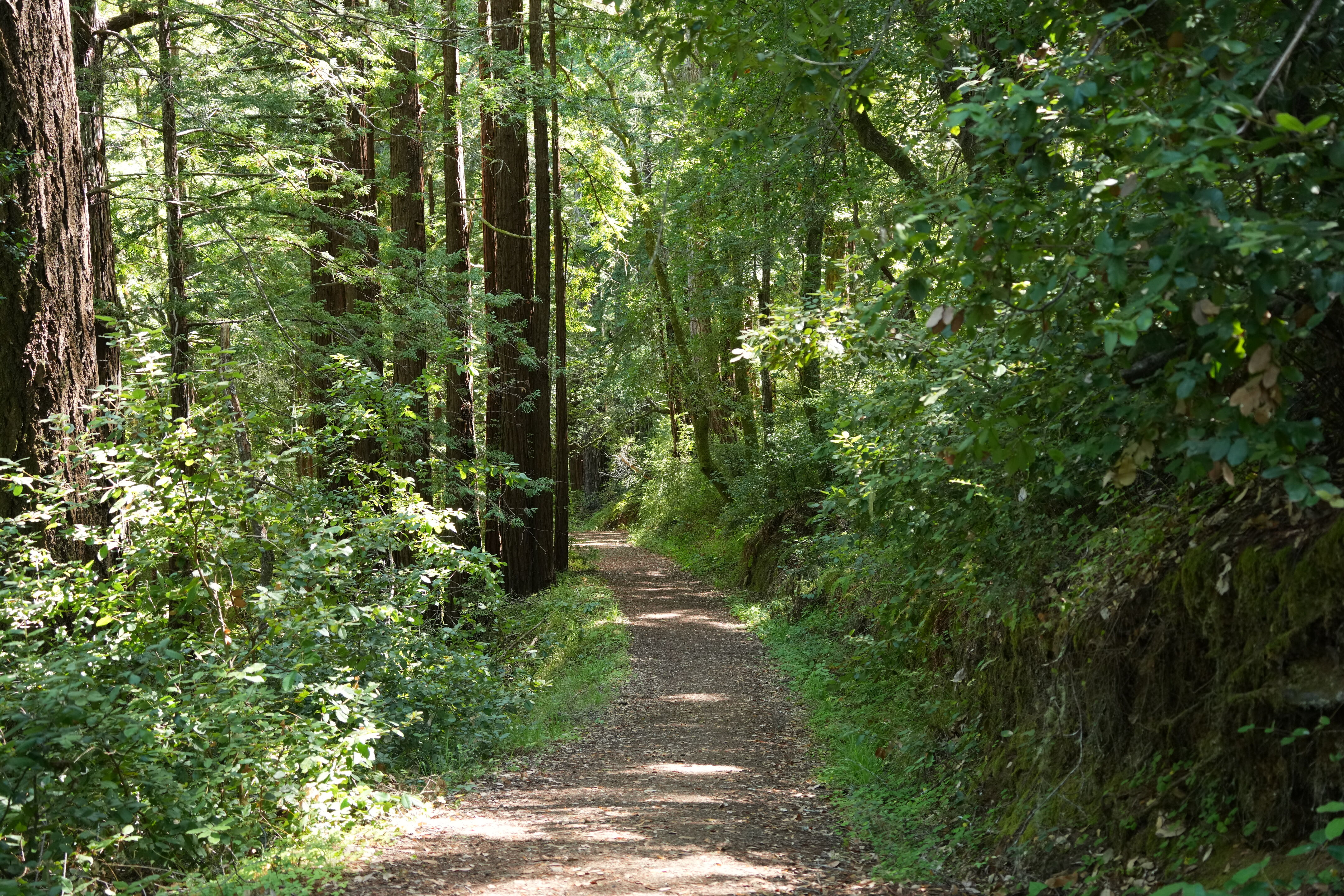 Sam McDonald Park