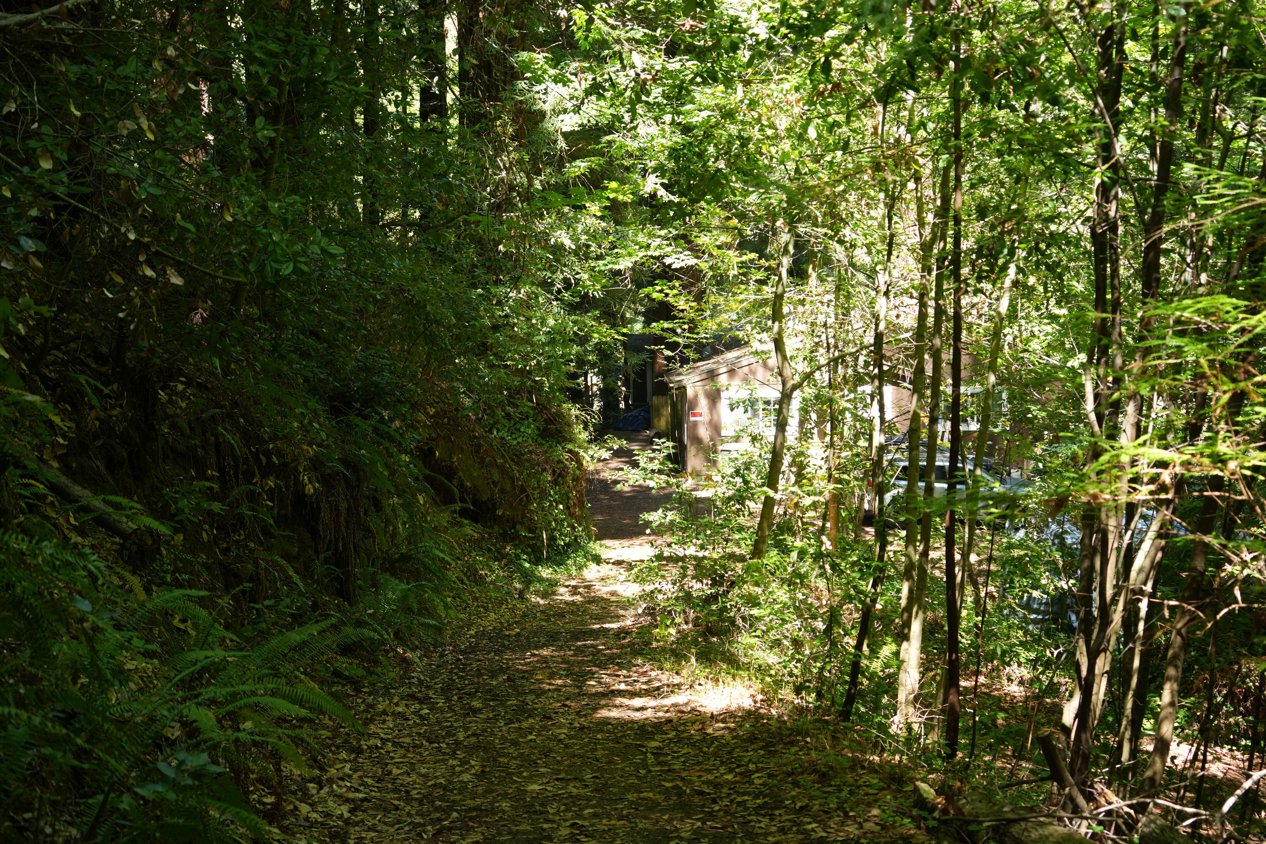 Sam McDonald Park