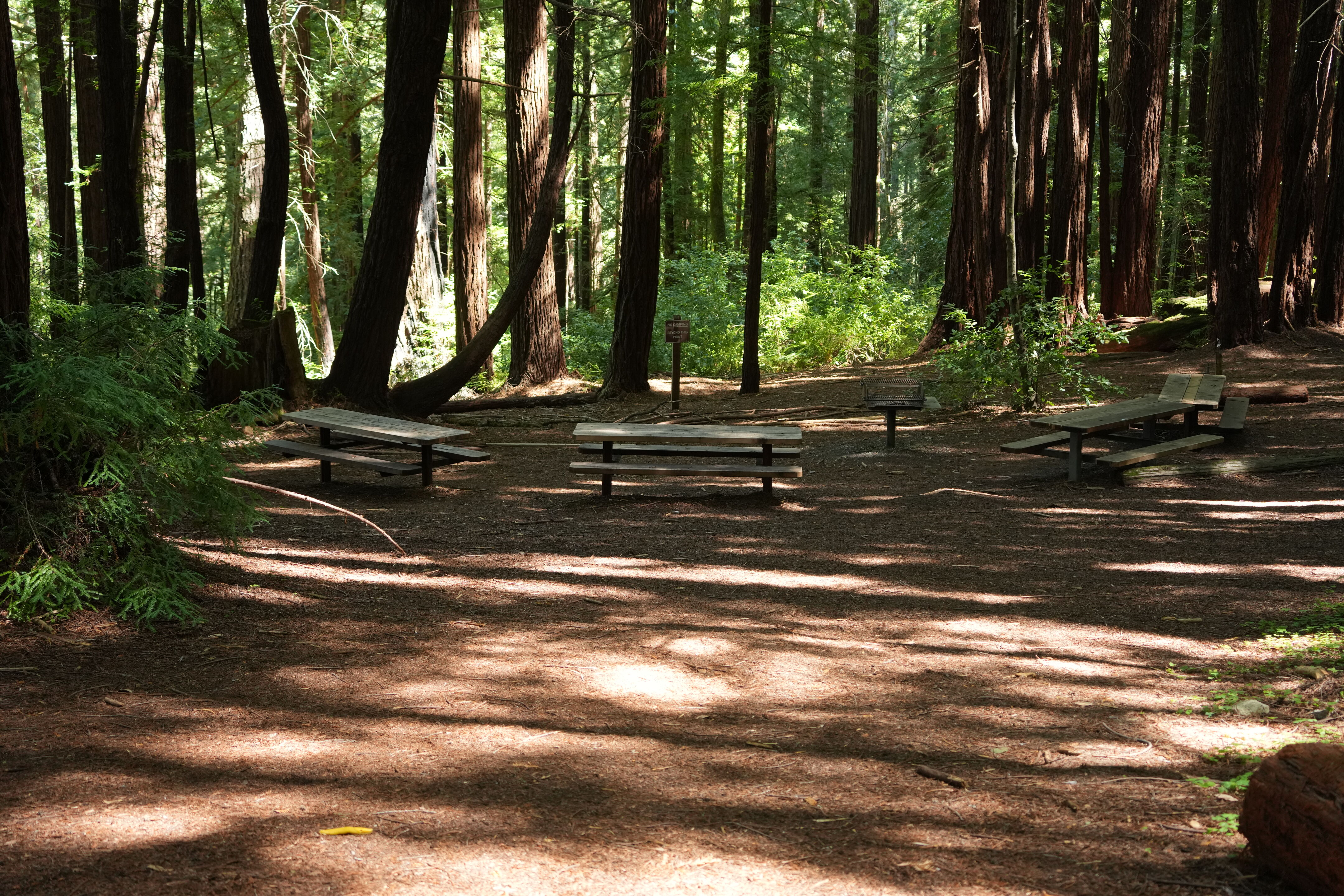 Sam McDonald Park