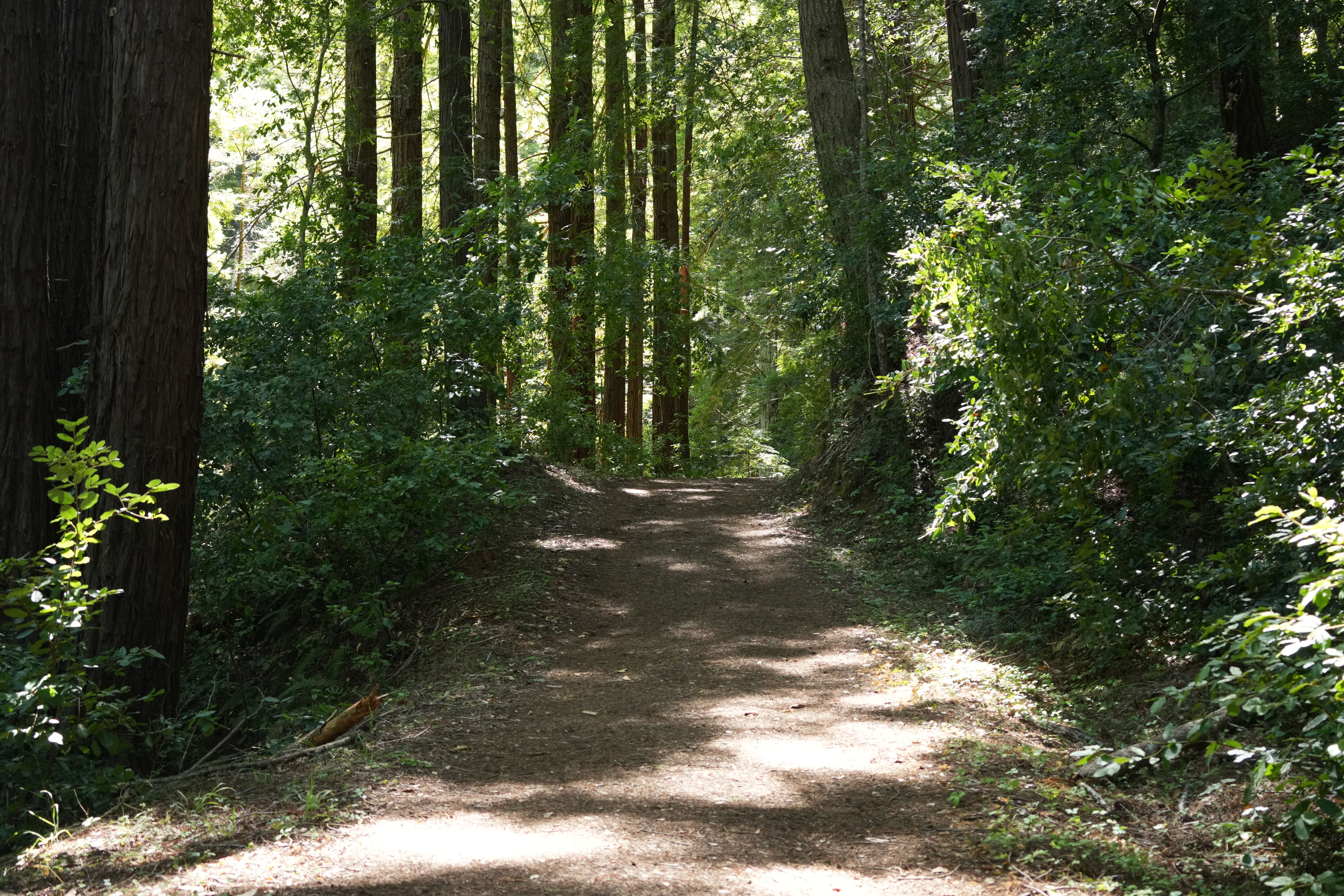 Sam McDonald Park
