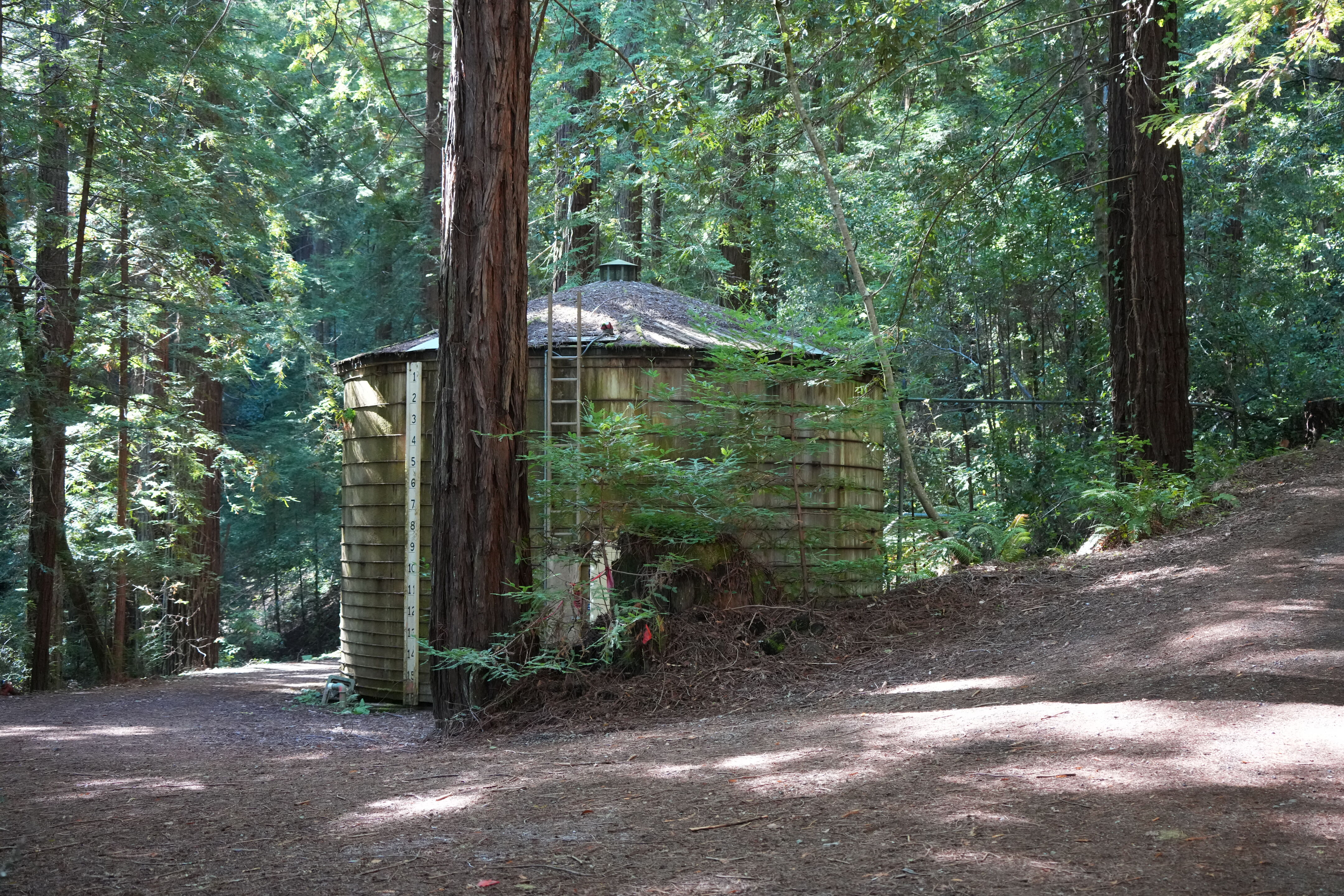 Sam McDonald Park