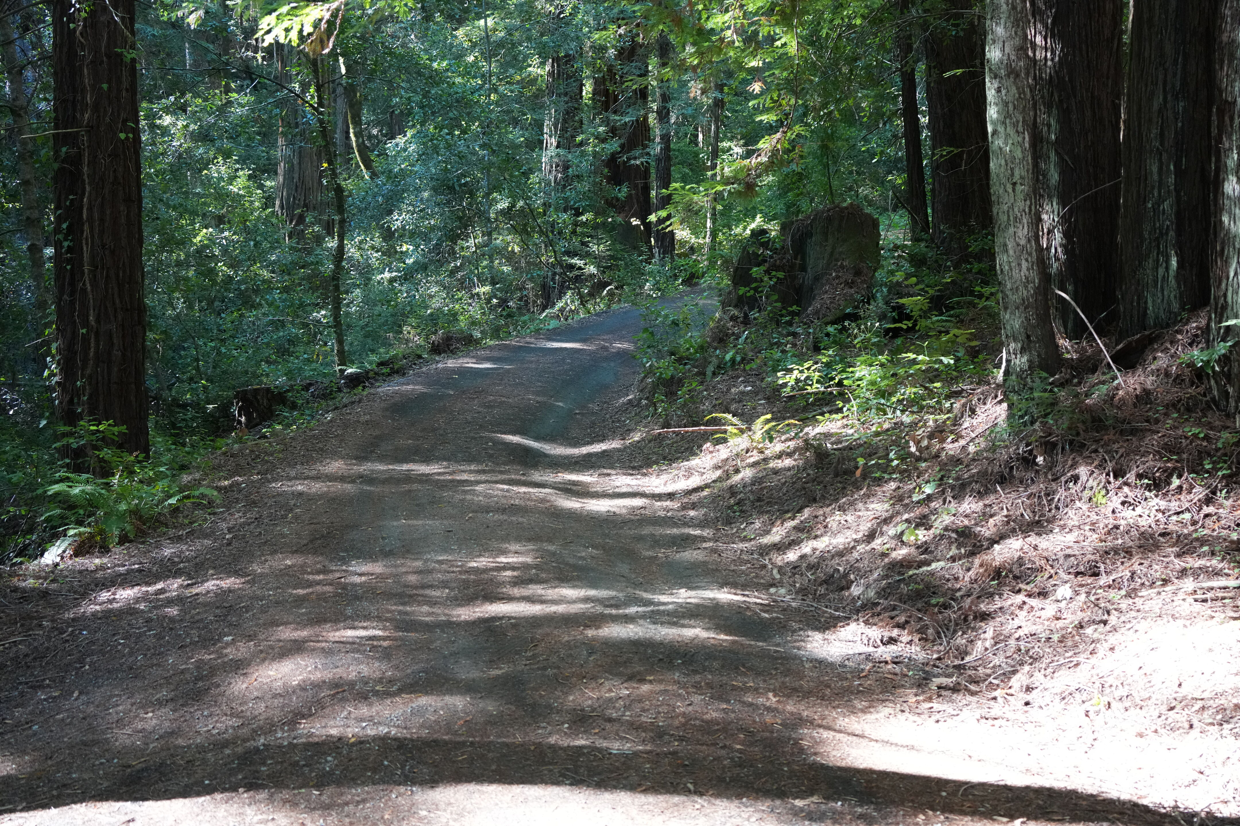 Sam McDonald Park