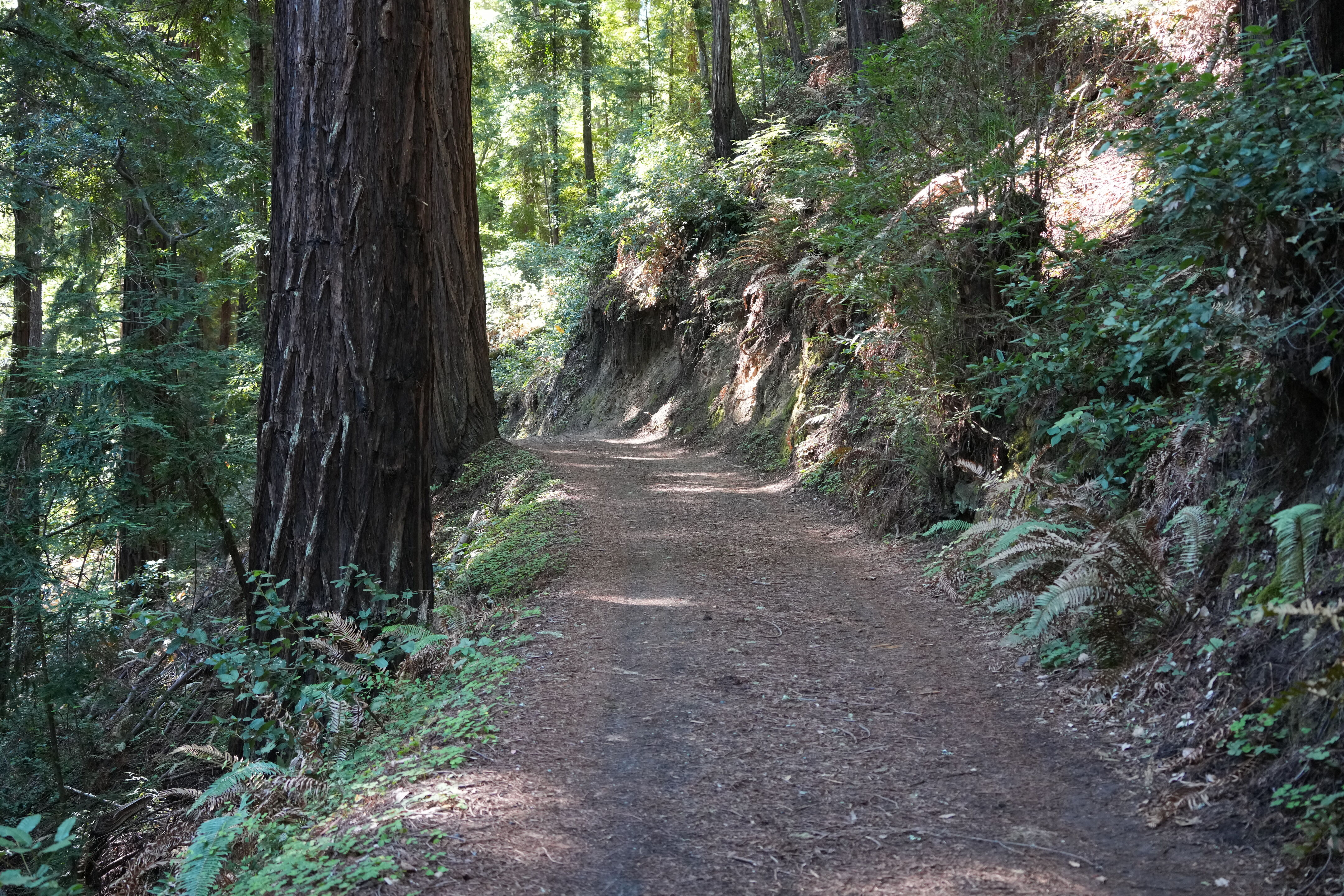 Sam McDonald Park