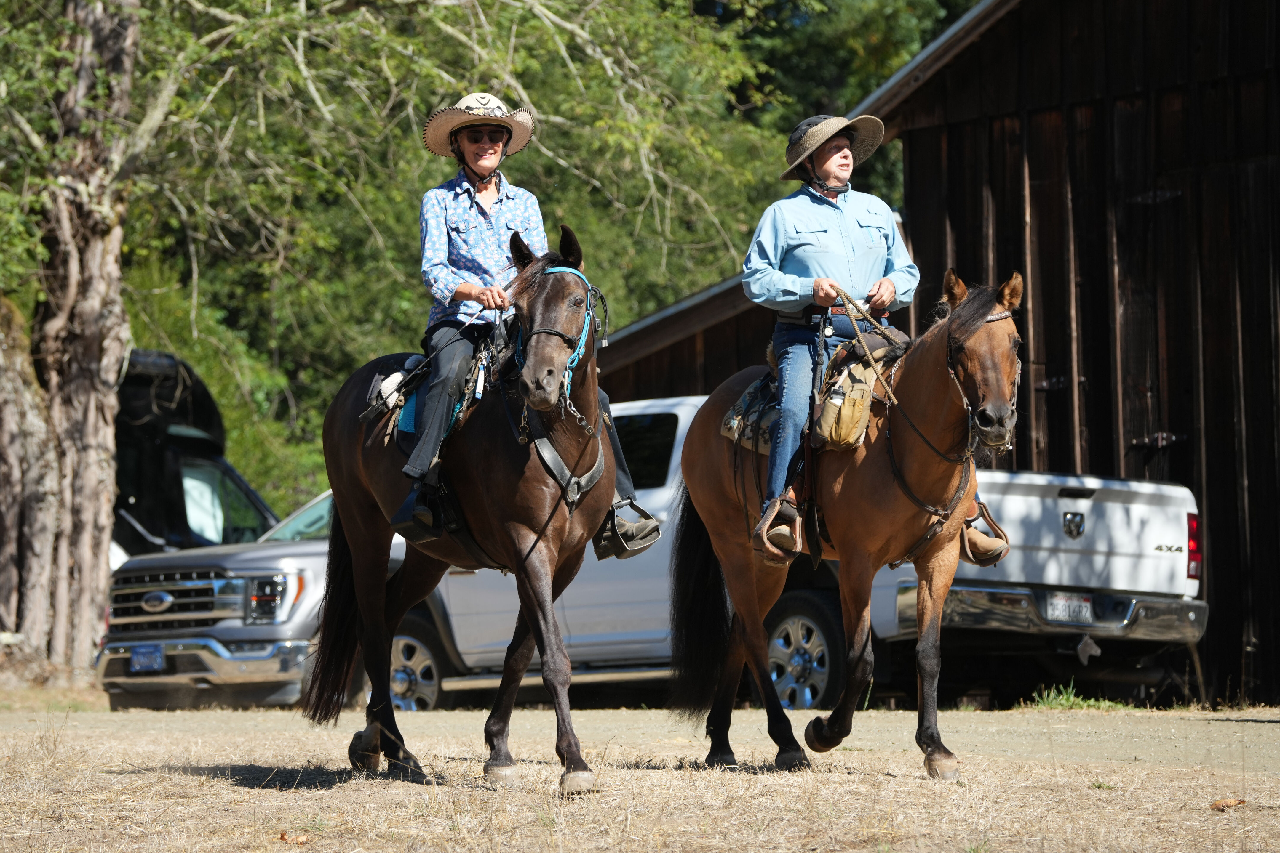 Horse Riders From Jack Brook Horse Camp