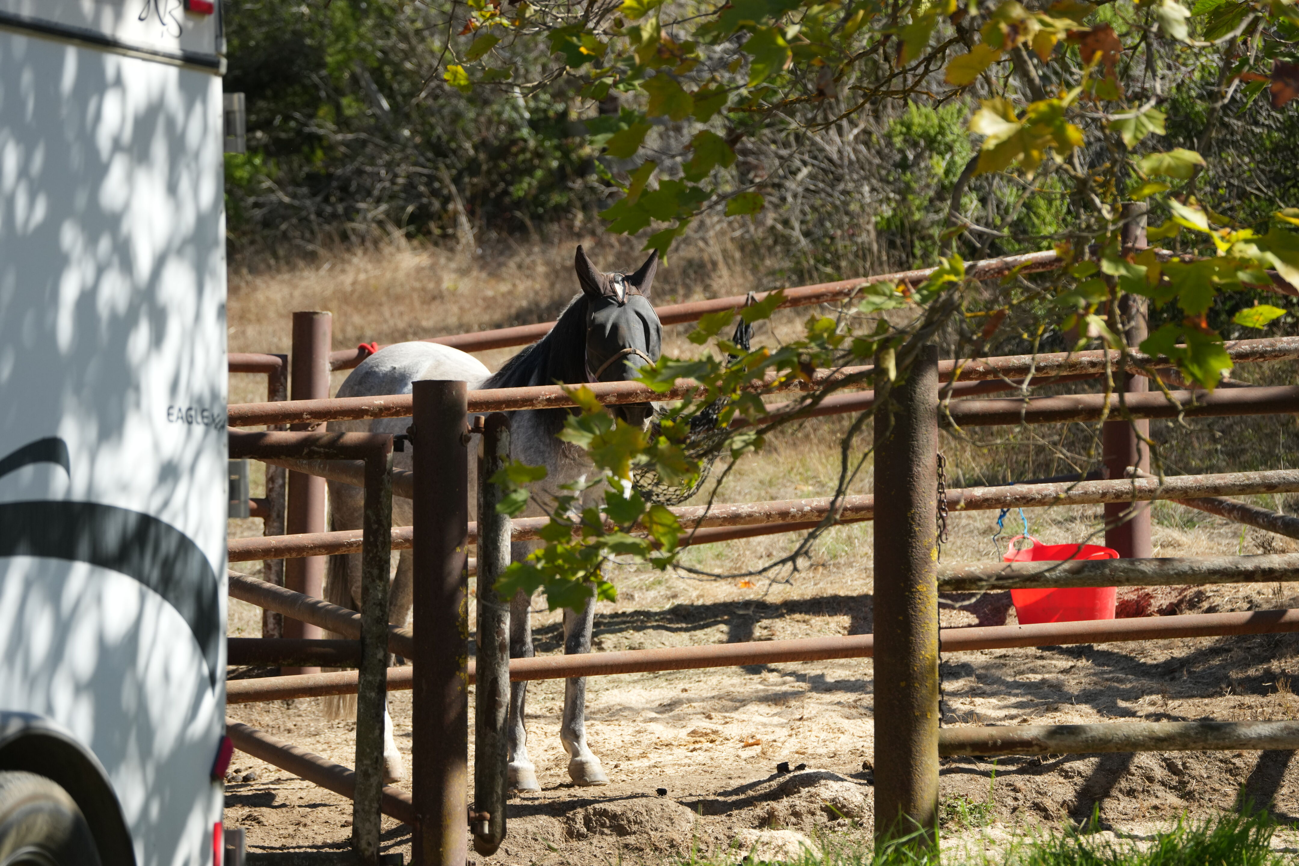 Sam McDonald Park